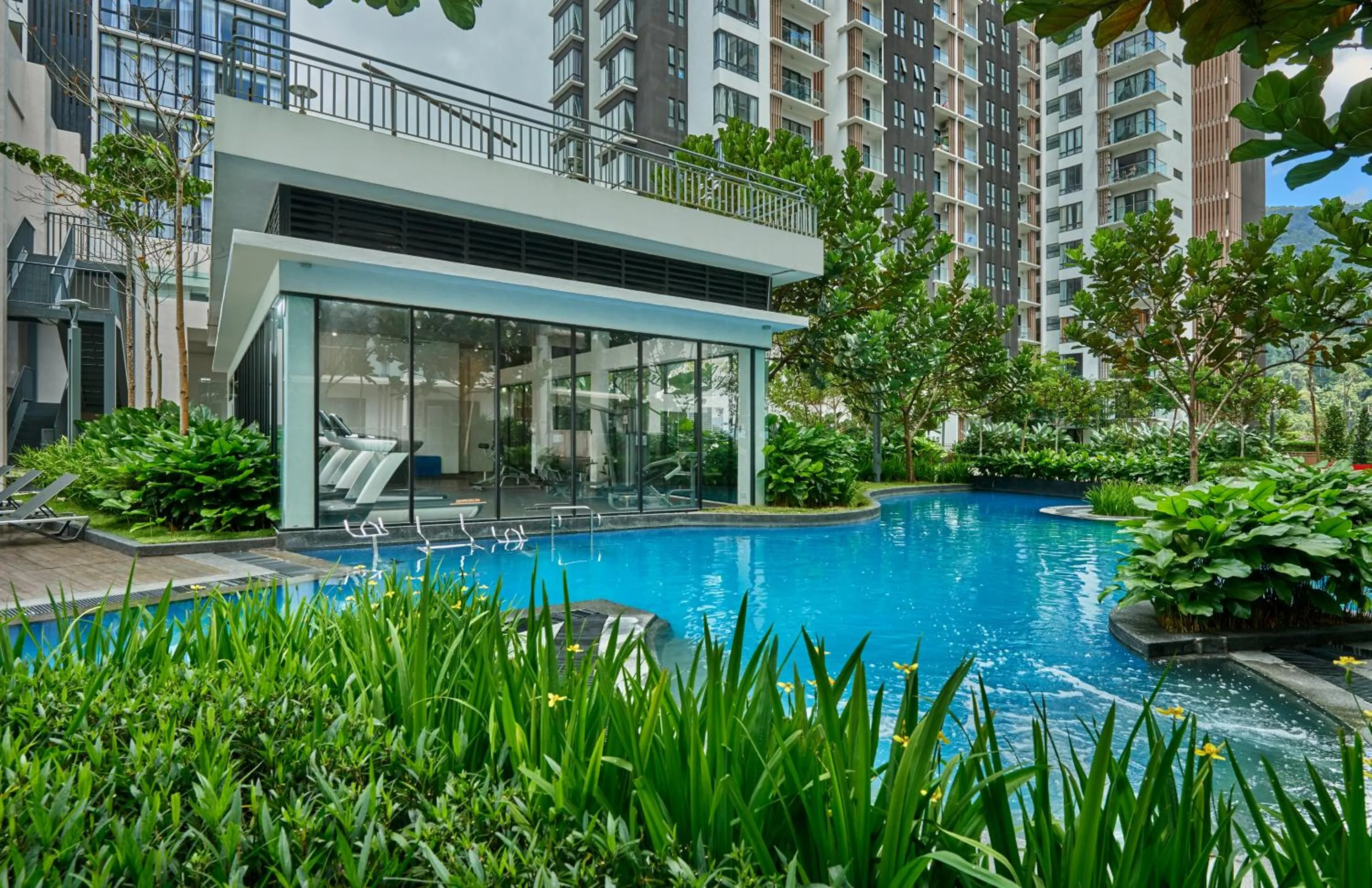 Swimming pool in The Bear@Midhill Genting Highlands (Free WiFi)