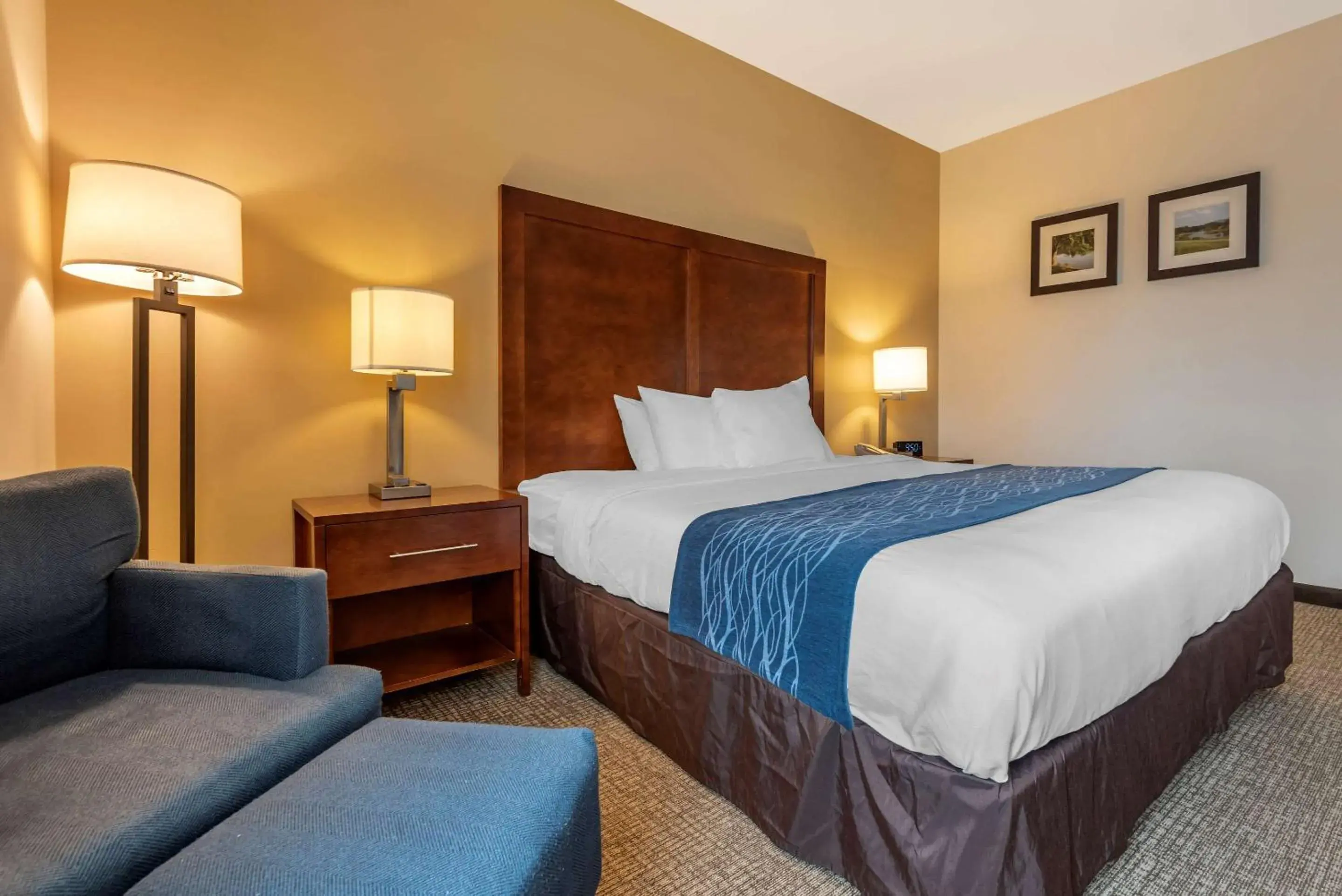 King Room - Accessible/Non Smoking in Comfort Inn Apalachin - Binghamton W Route 17 King Room - Accessible/Non Smoking in Comfort Inn Apalachin - Binghamton W Route 17