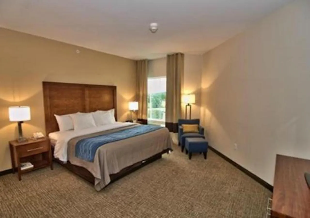 Bedroom, Bed in Comfort Inn Apalachin - Binghamton W Route 17