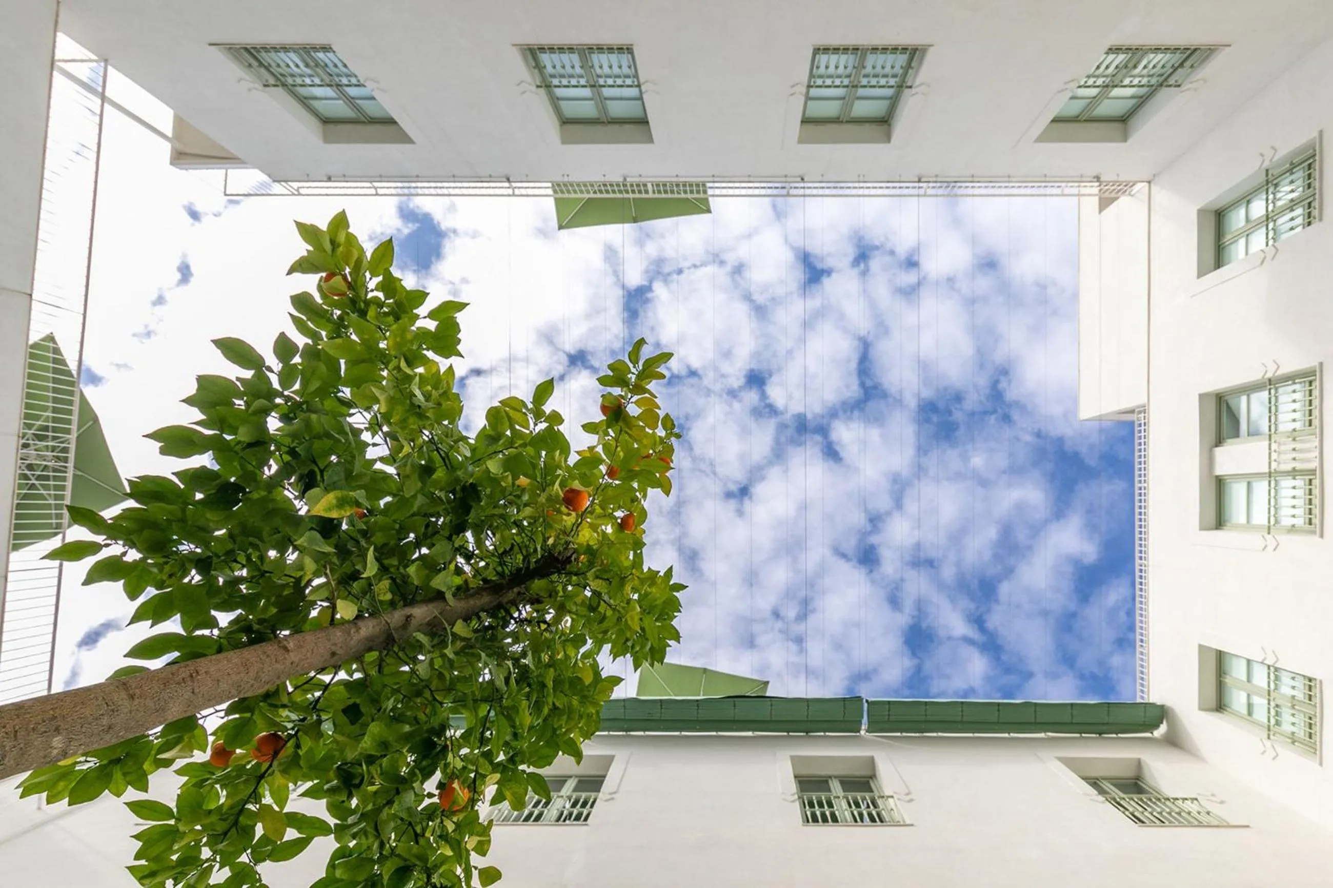 Patio in Holiday Rentals Los Salados