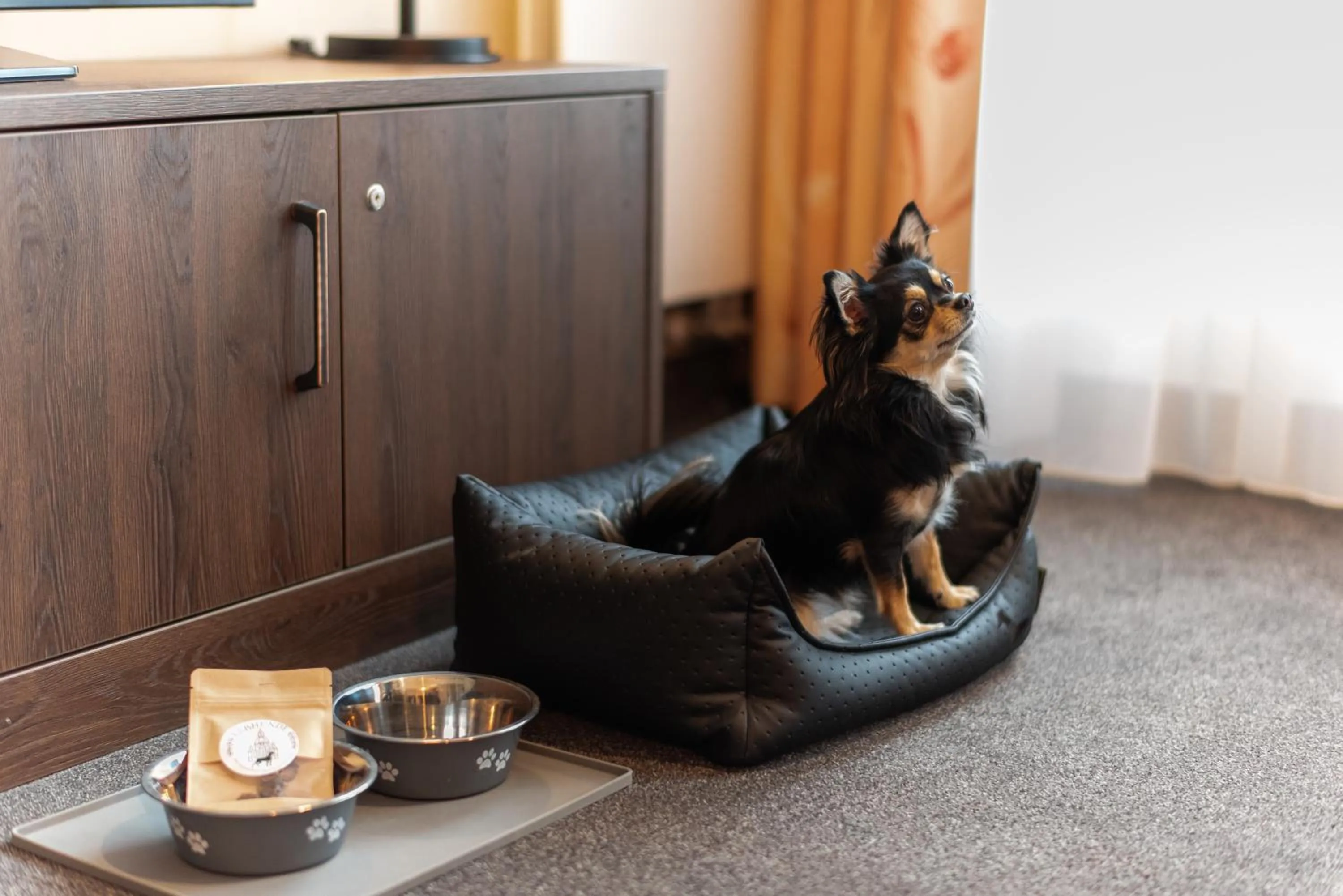 Pets in Aparthotel Neumarkt