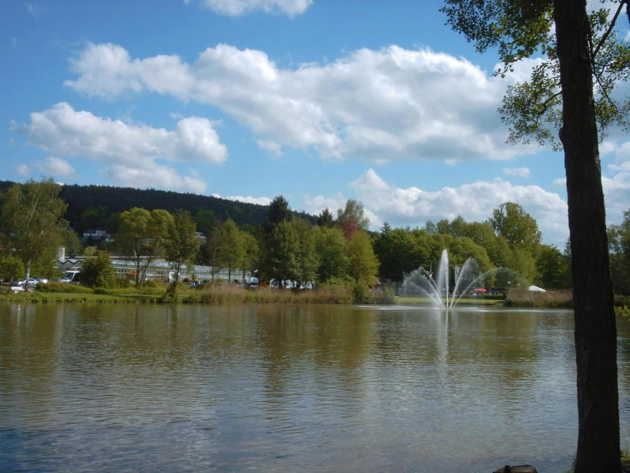 Area and facilities in Hotel Irene