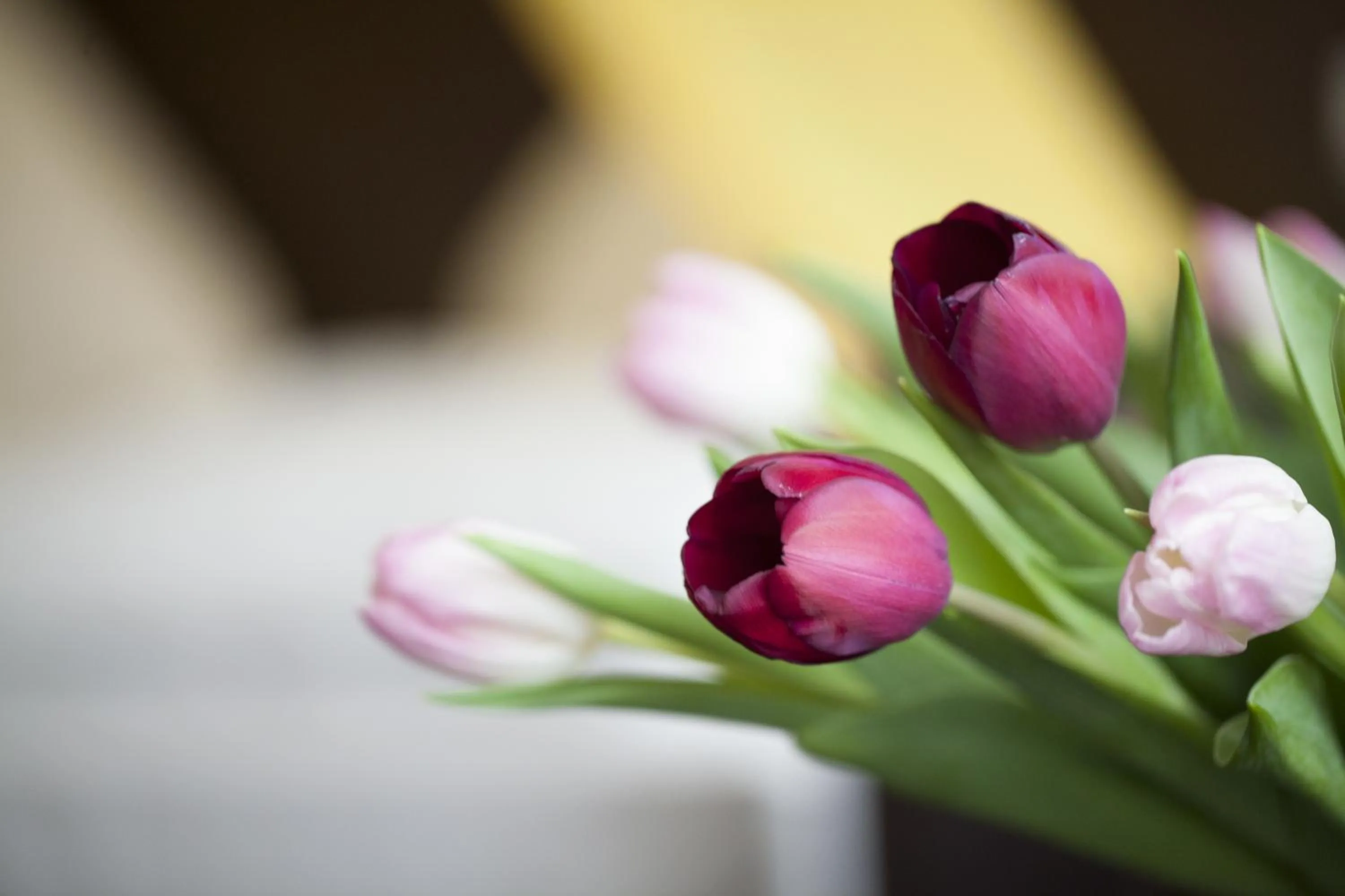 Spring in Hotel Kiez Pension Berlin