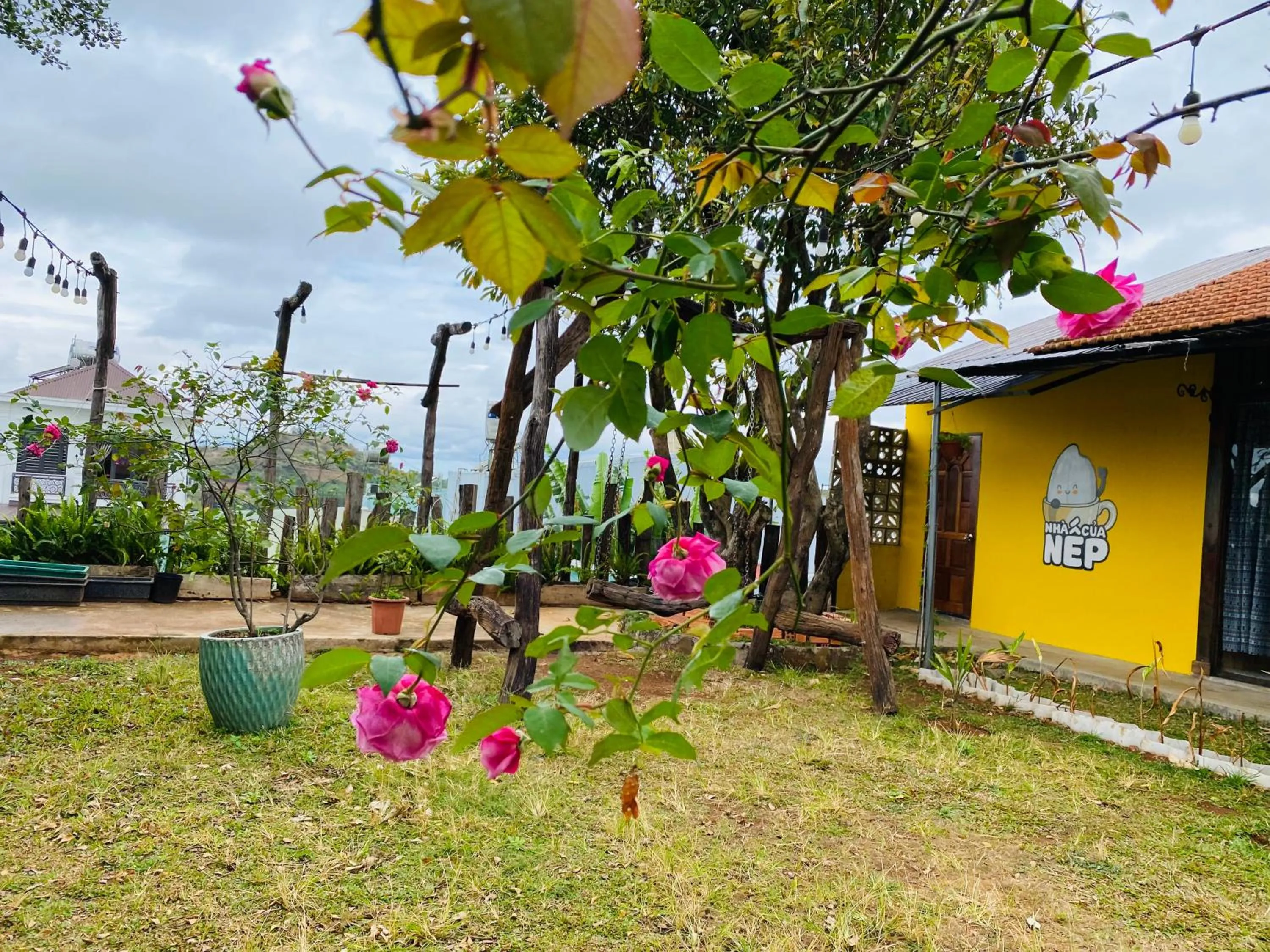 Patio in Nhà của Nếp