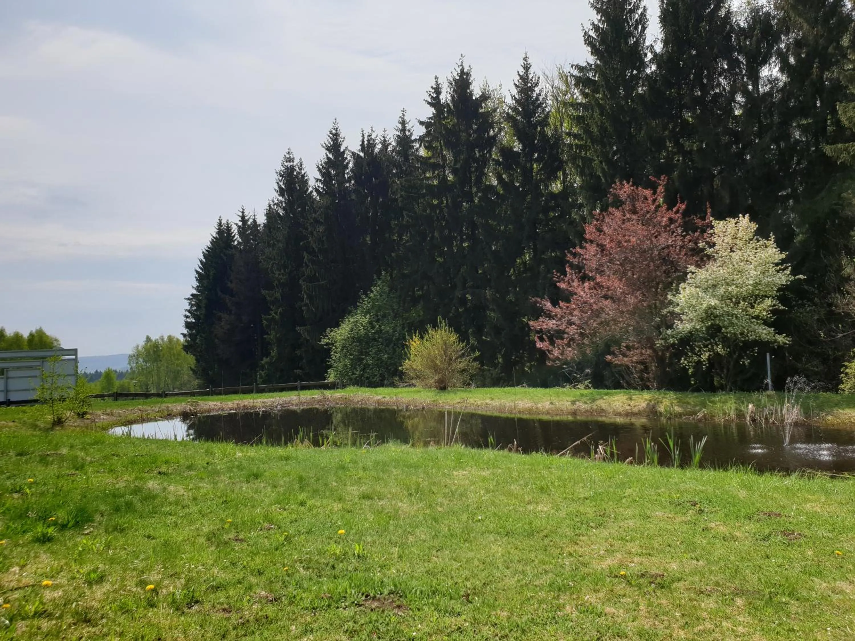 Garden in Berghotel Drei Brüder Höhe