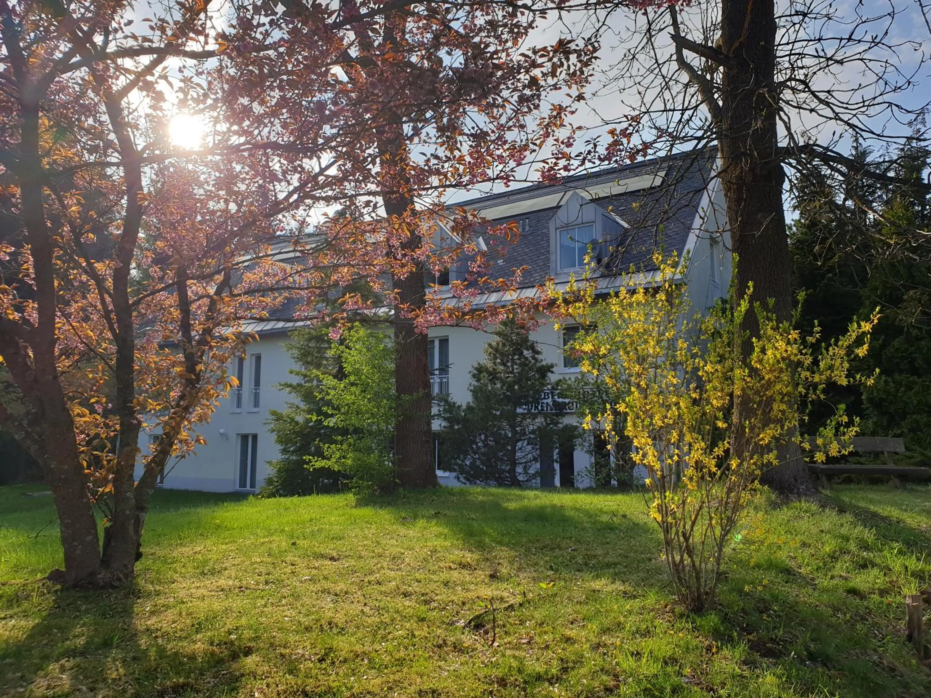 Garden in Berghotel Drei Brüder Höhe