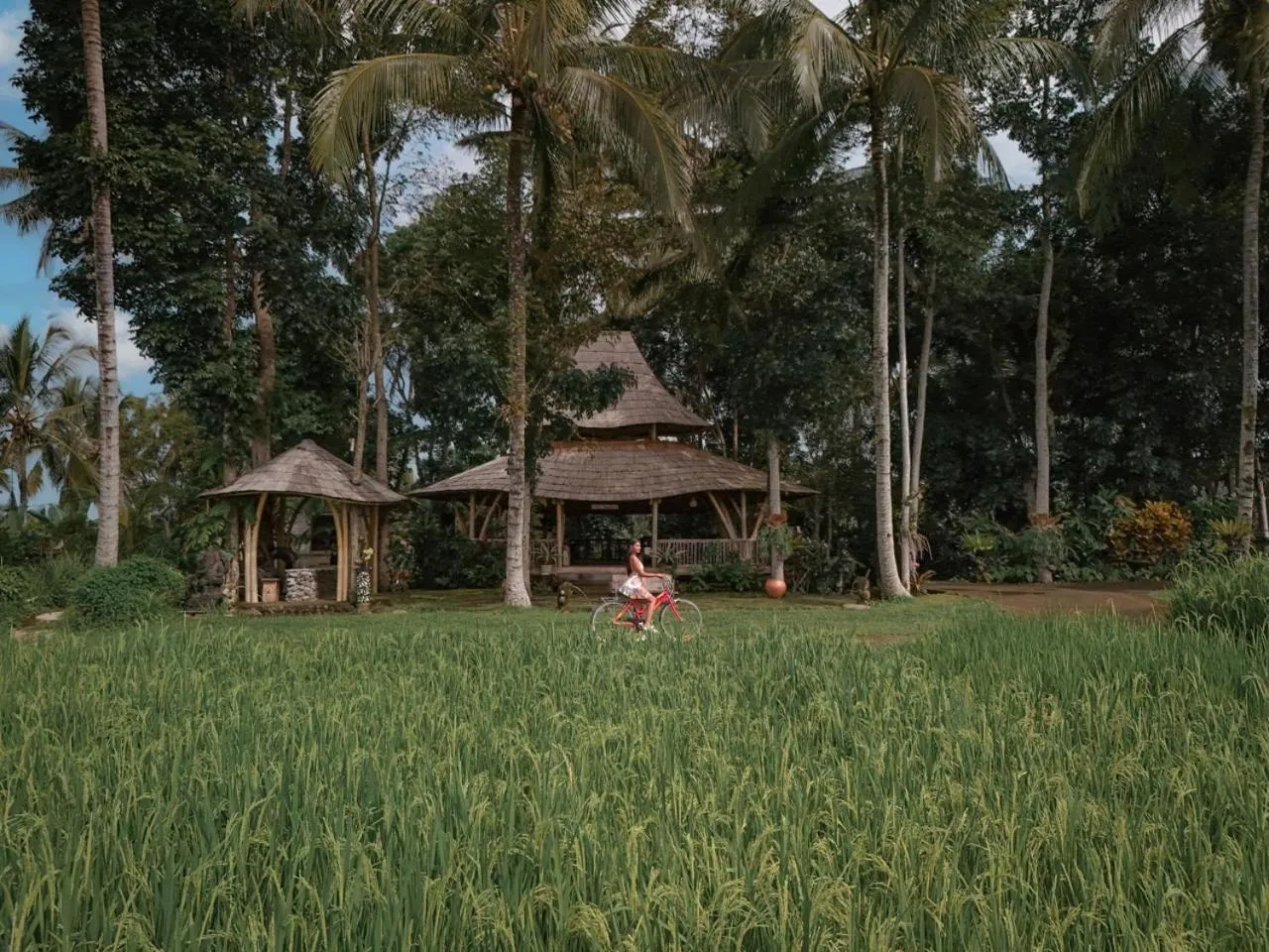 Asep Gumi Retreat - Soul of Nature in Tabanan