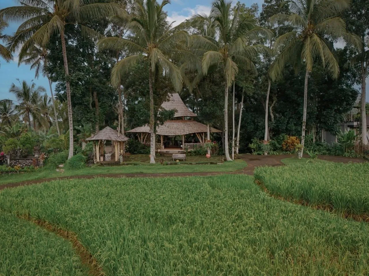 Asep Gumi Retreat - Soul of Nature in Tabanan