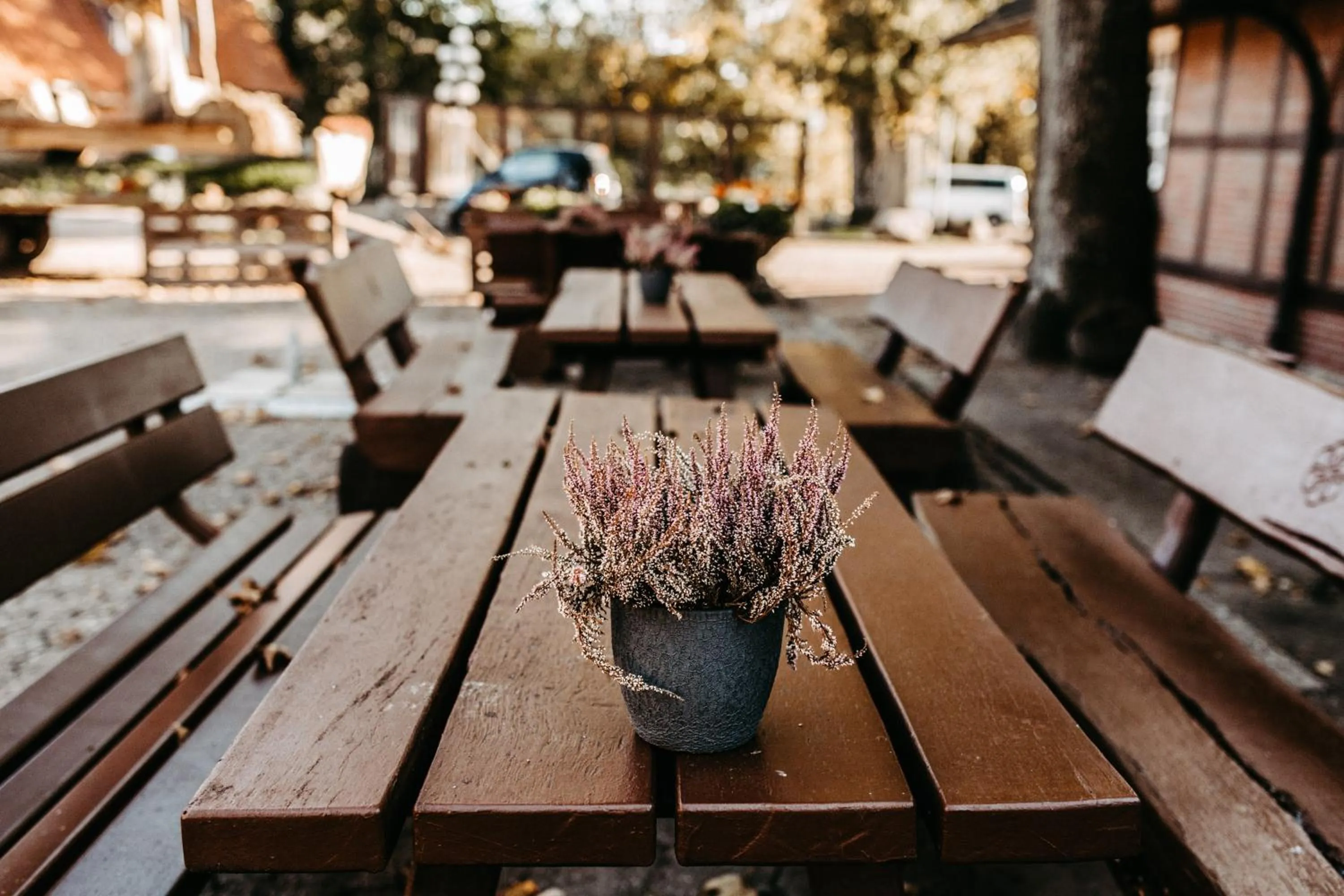 Restaurant/places to eat in Akzent Hotel Zur Grünen Eiche