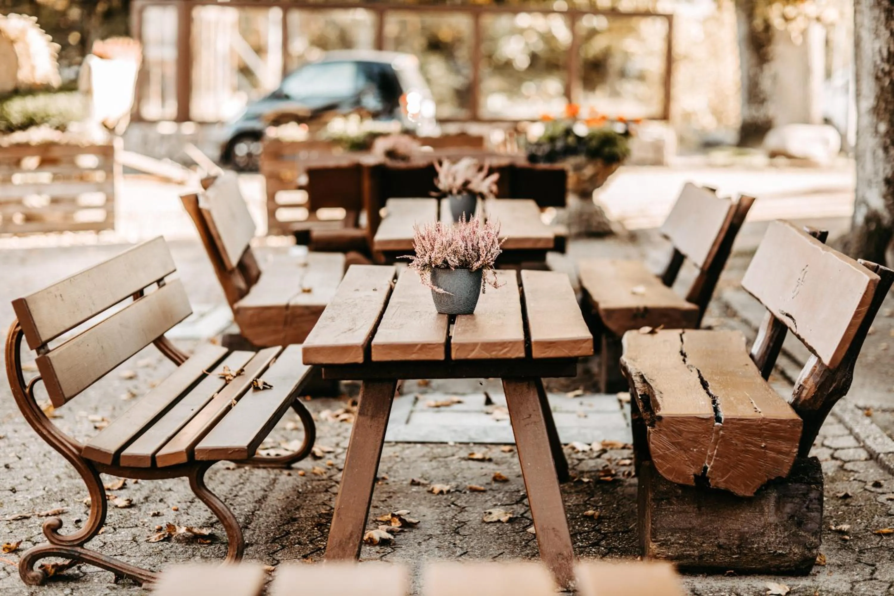 Patio in Akzent Hotel Zur Grünen Eiche