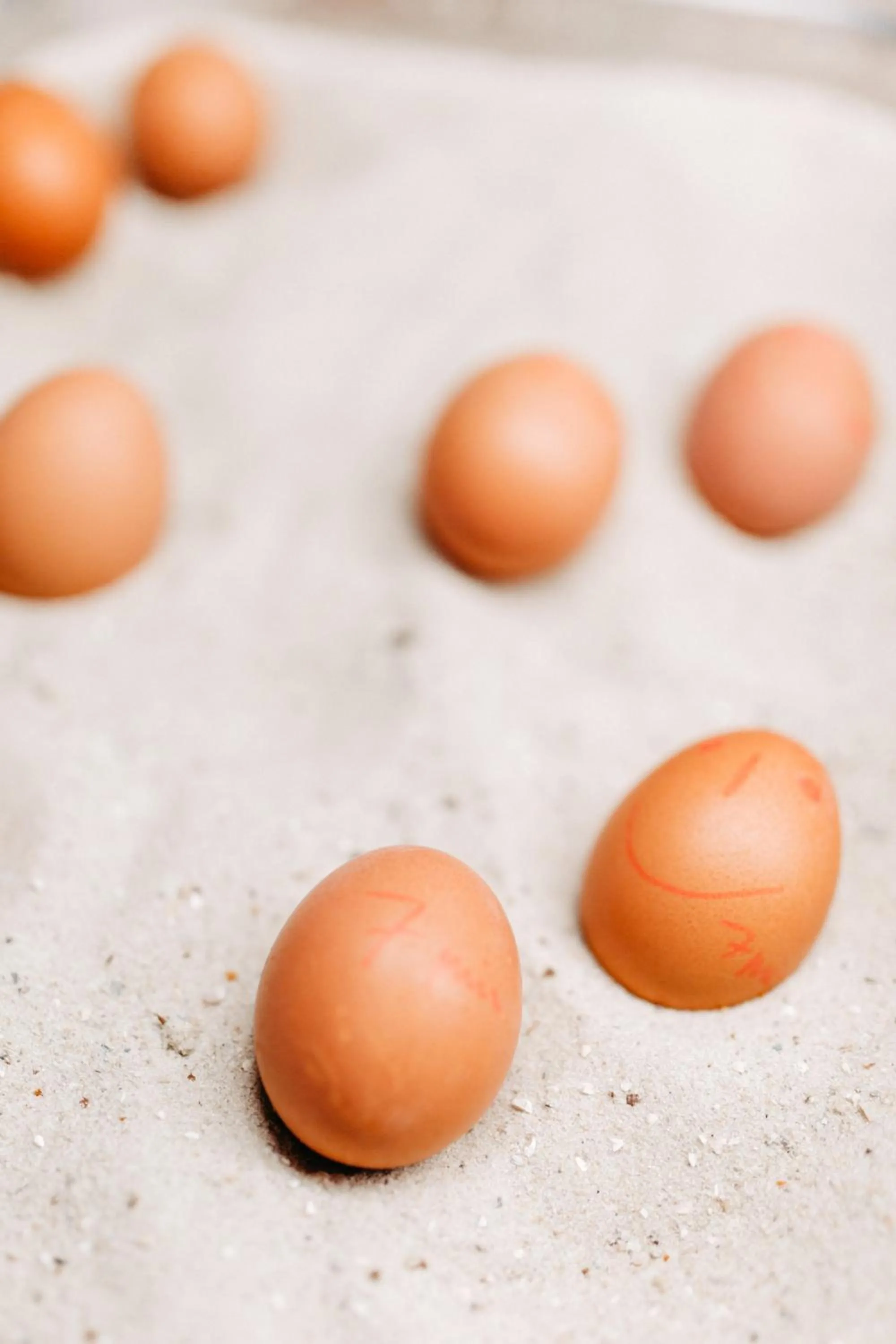 Restaurant/places to eat in Akzent Hotel Zur Grünen Eiche