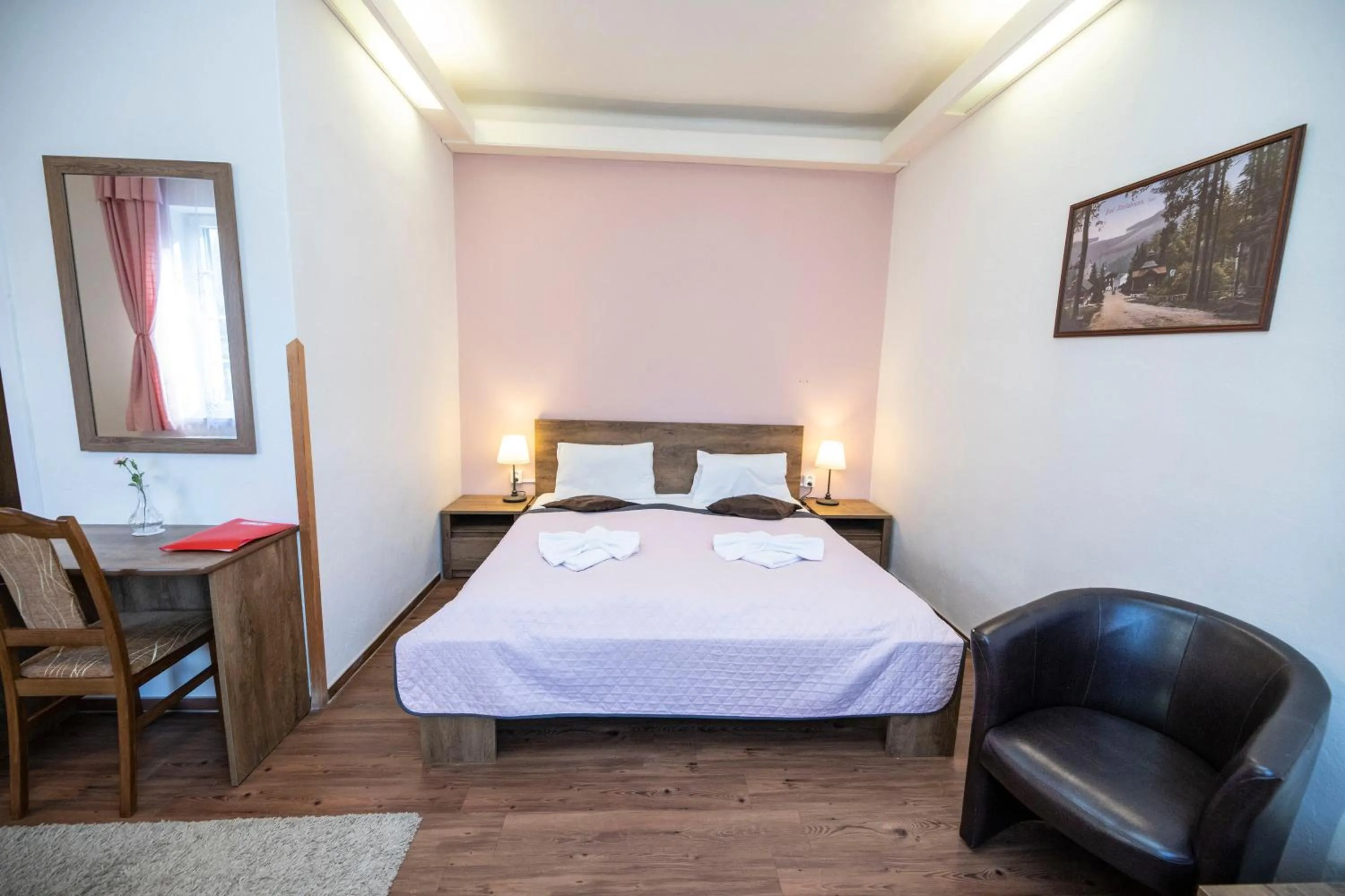 Photo of the whole room, Bed in Hotel Džbán