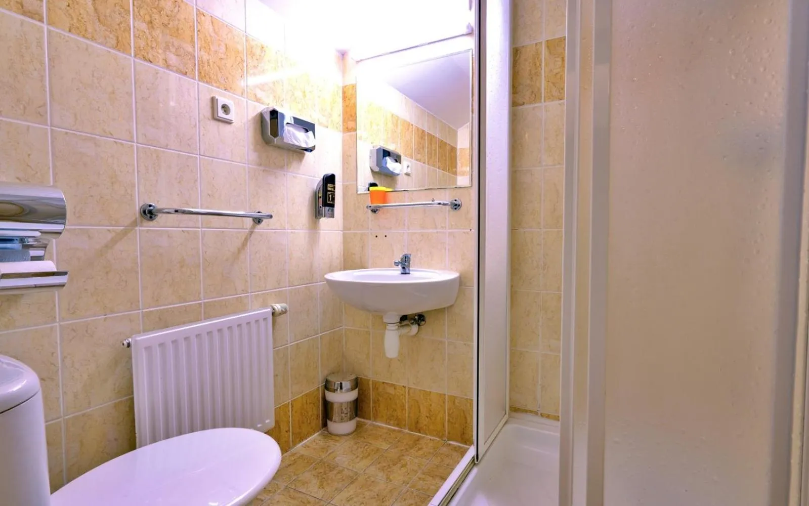 Toilet in Hotel Džbán