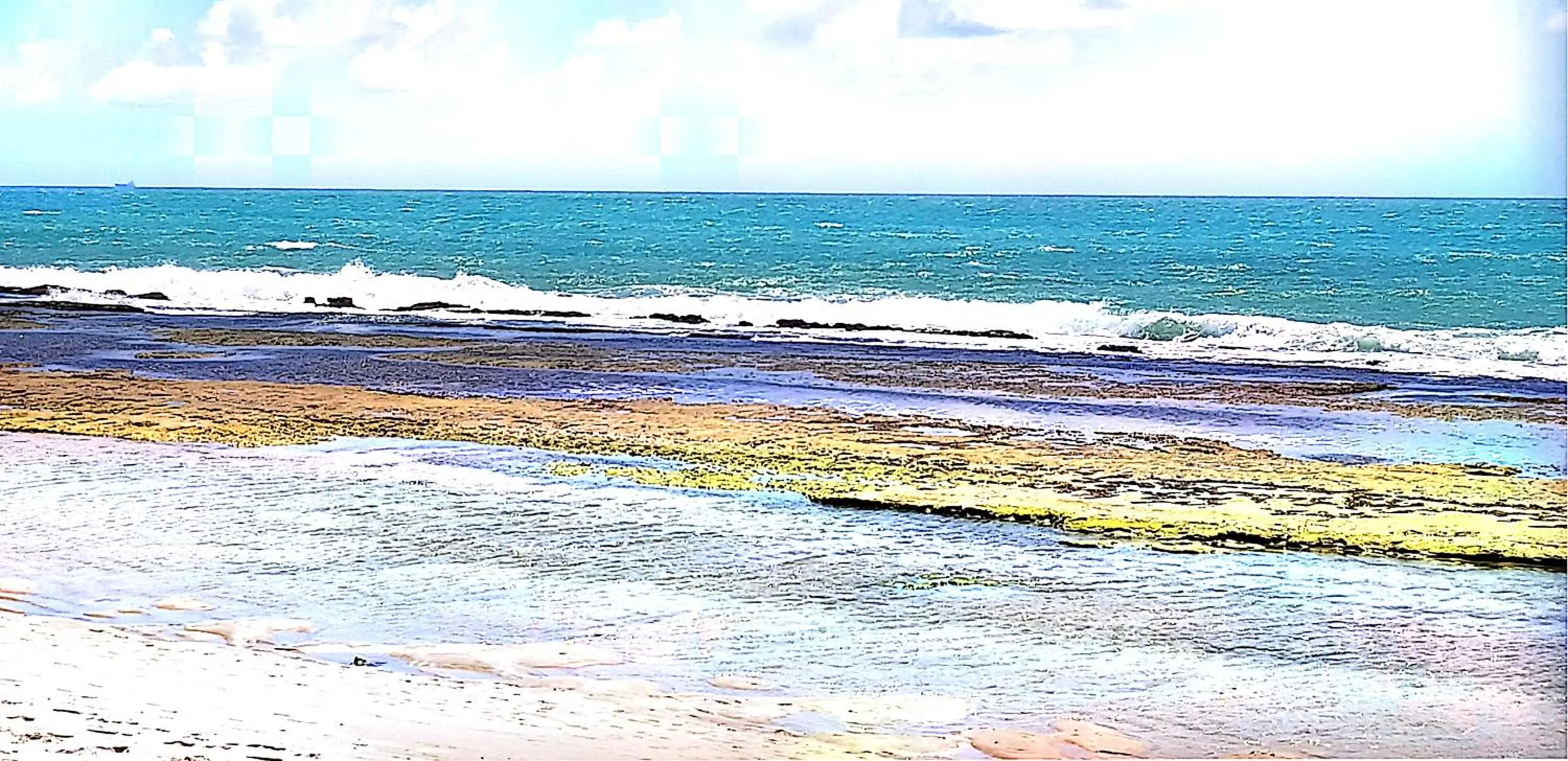 Natural landscape in Flat Beach Class Muro Alto 1107