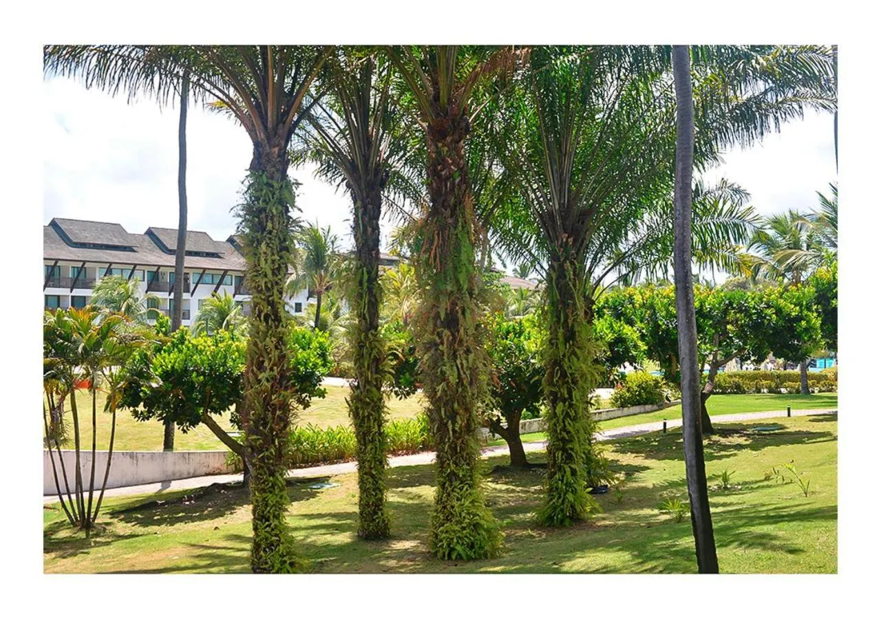 Day in Flat Beach Class Muro Alto 1107