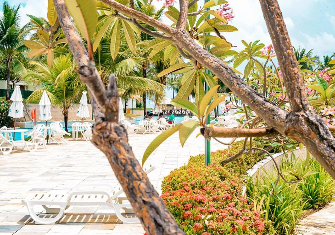 Day in Flat Beach Class Muro Alto 1107