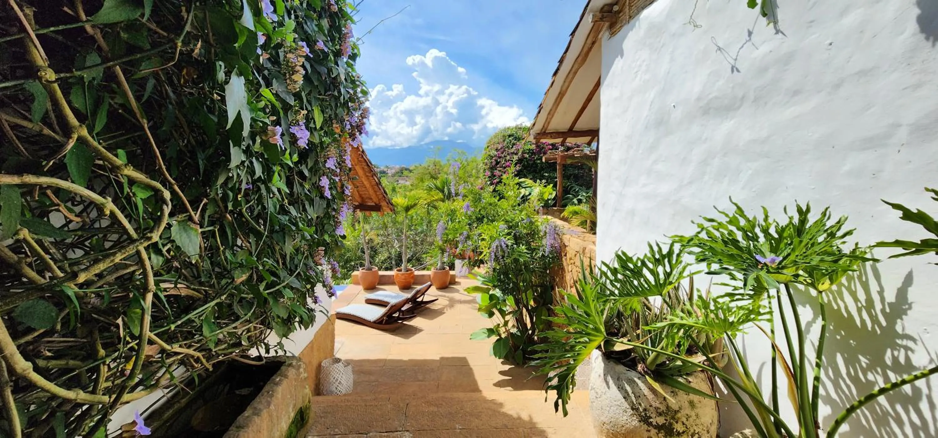 Garden view in Casa Yahri