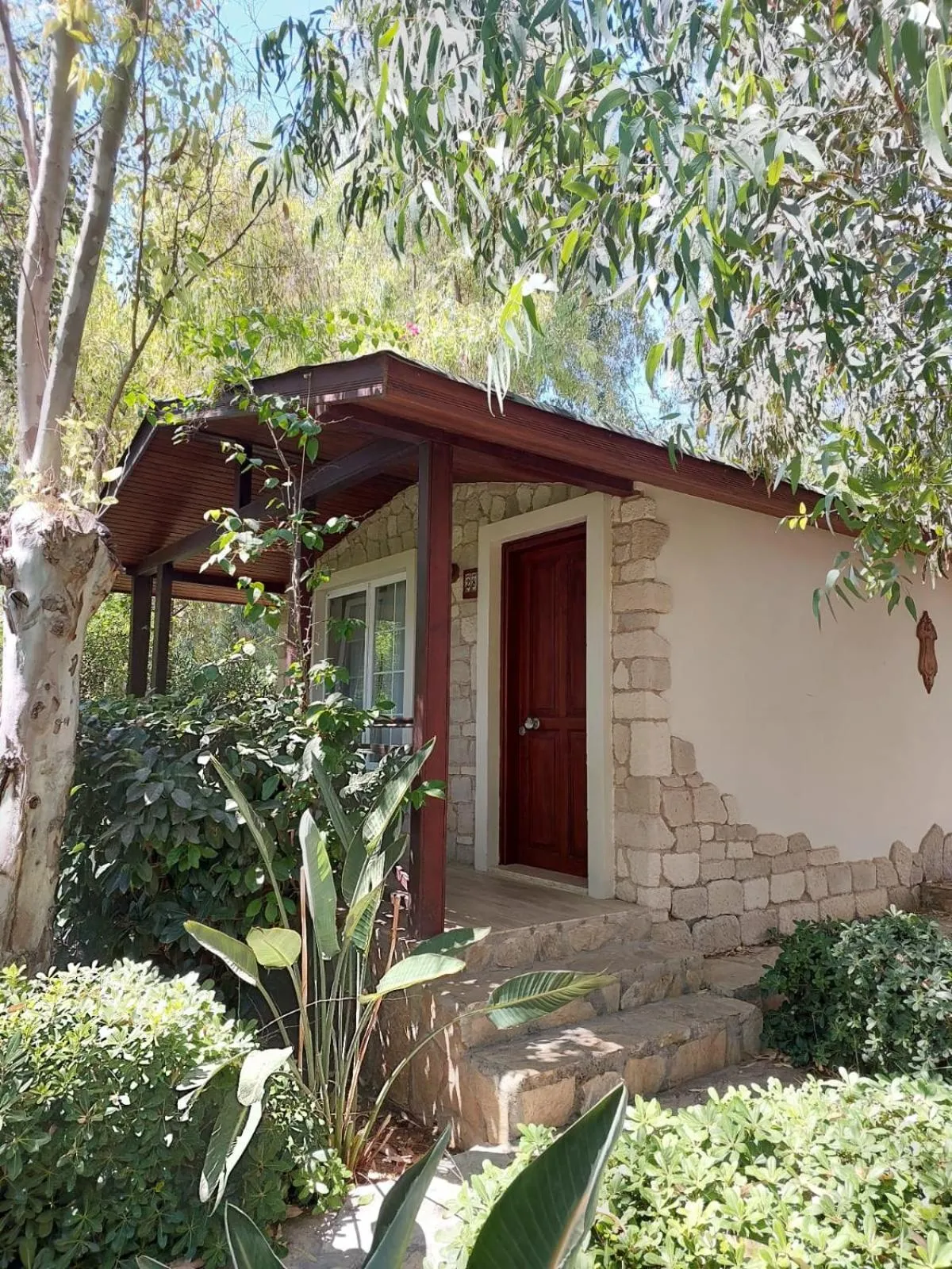 Garden in Datça Dirik Surf Beach Hotel