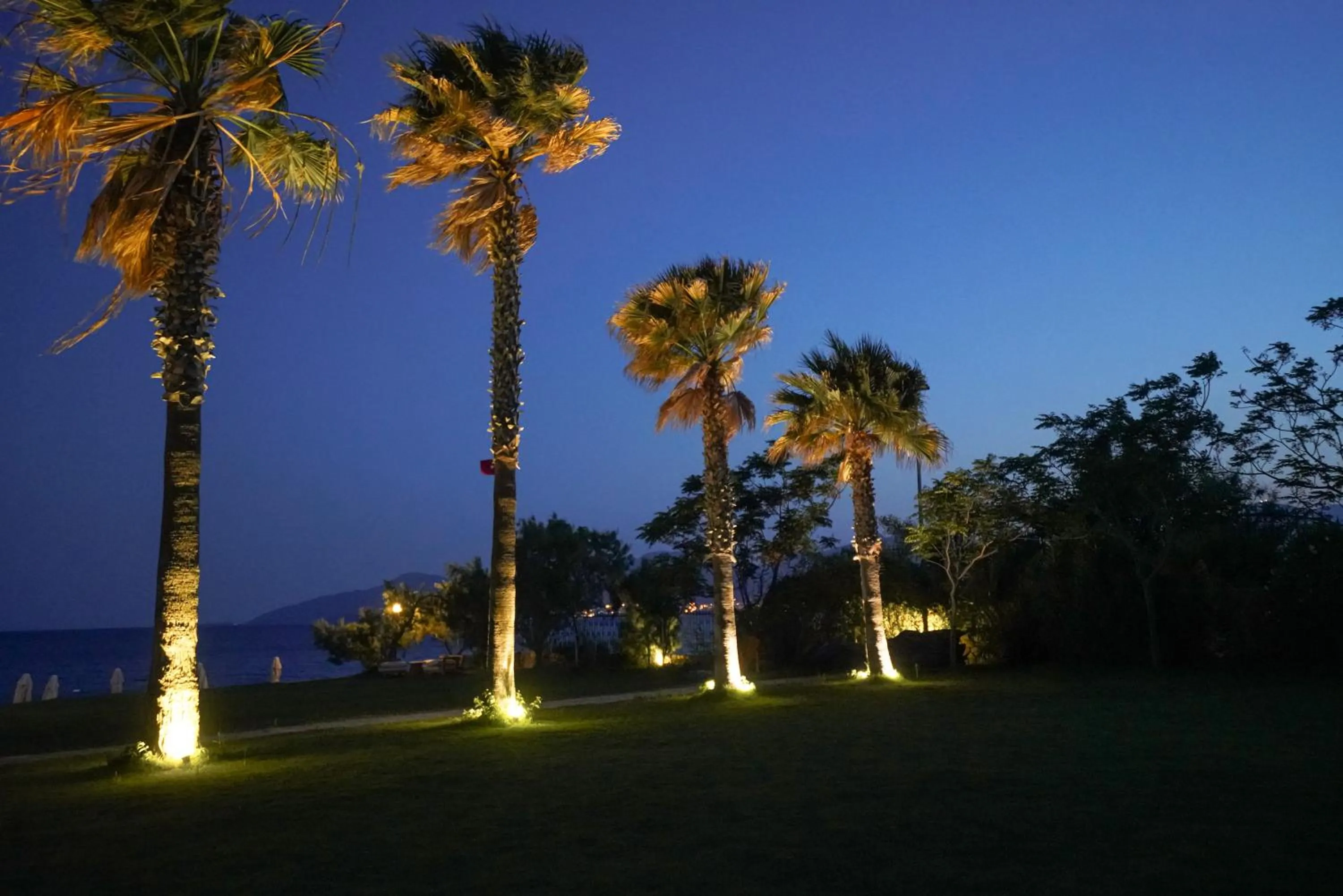 Night in Datça Dirik Surf Beach Hotel