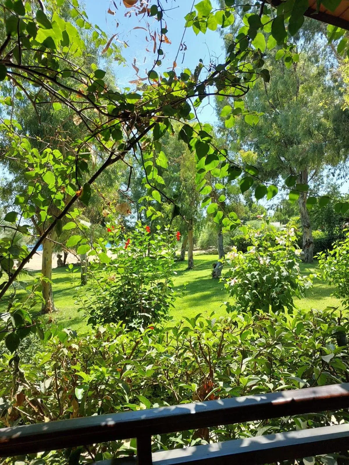 Spring in Datça Dirik Surf Beach Hotel