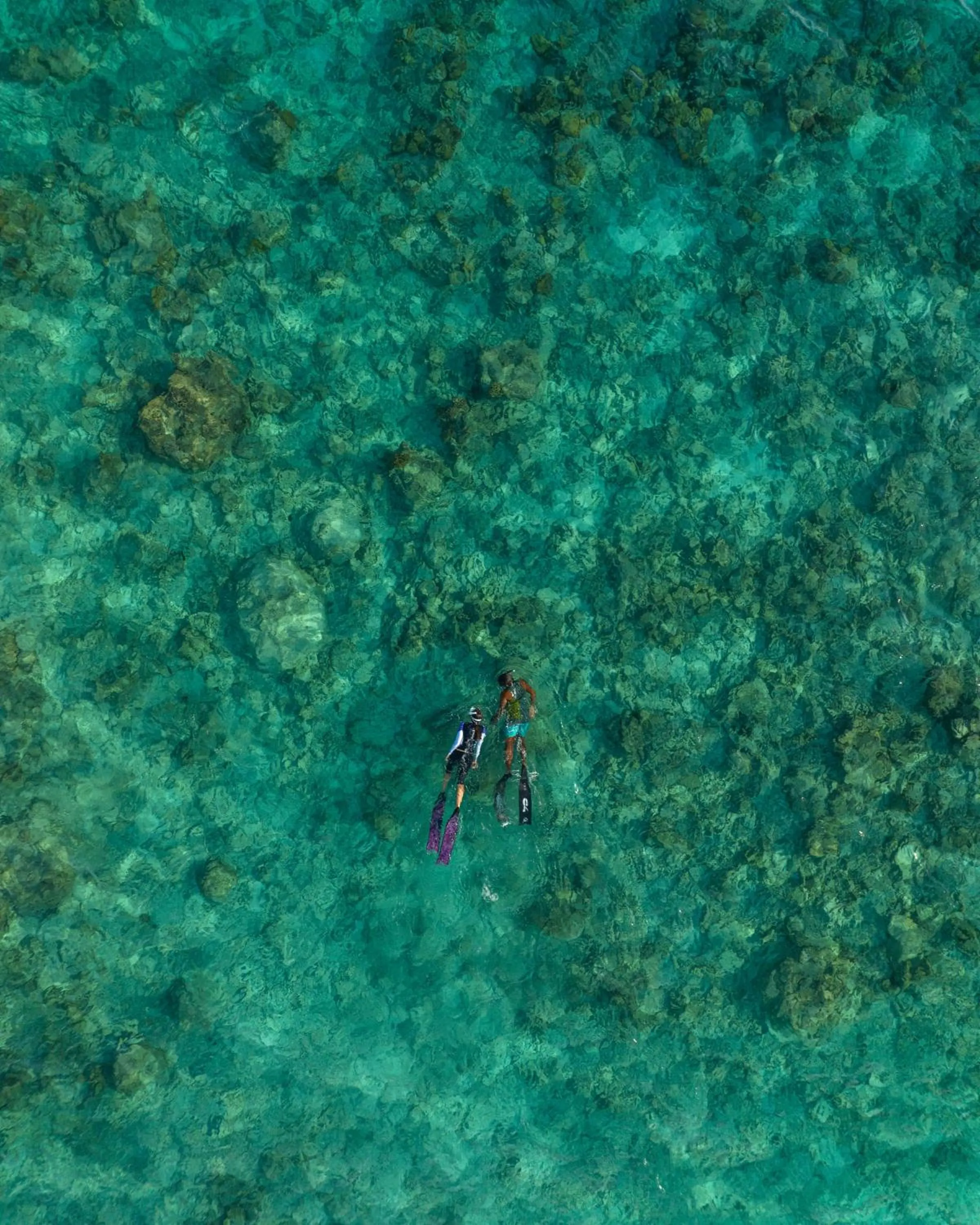 People in Kamadhoo Inn