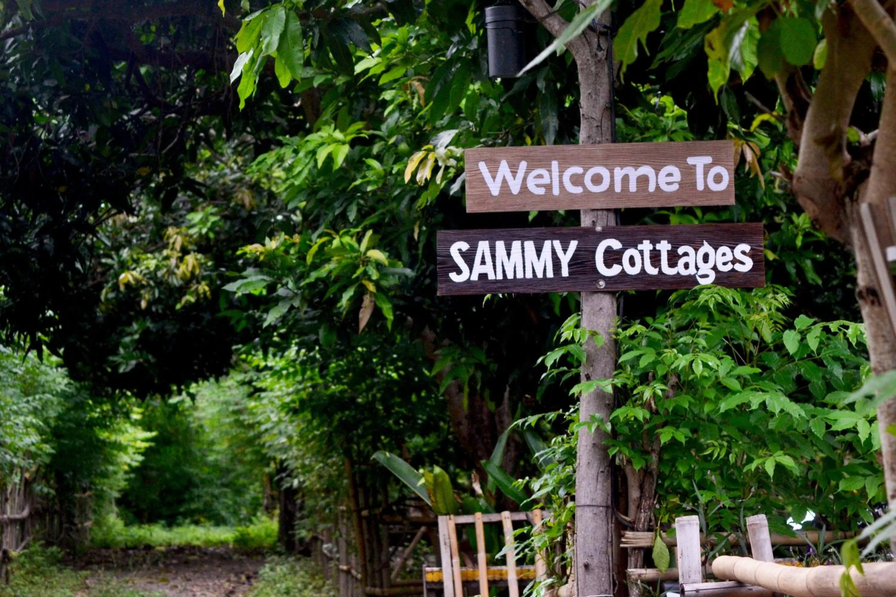 Facade/entrance in Sammy Cottage Senggigi