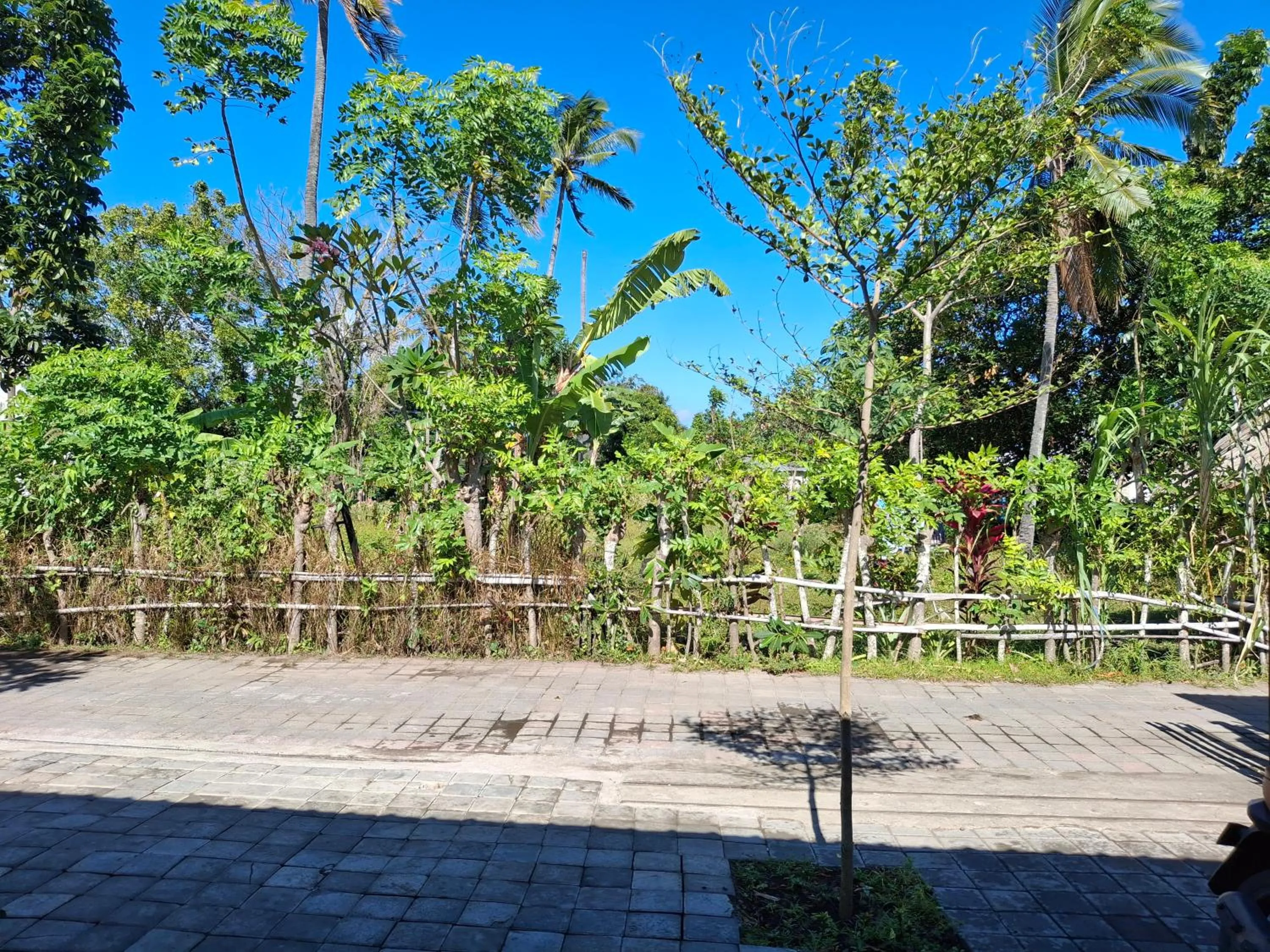 View (from property/room) in Sammy Cottage Senggigi
