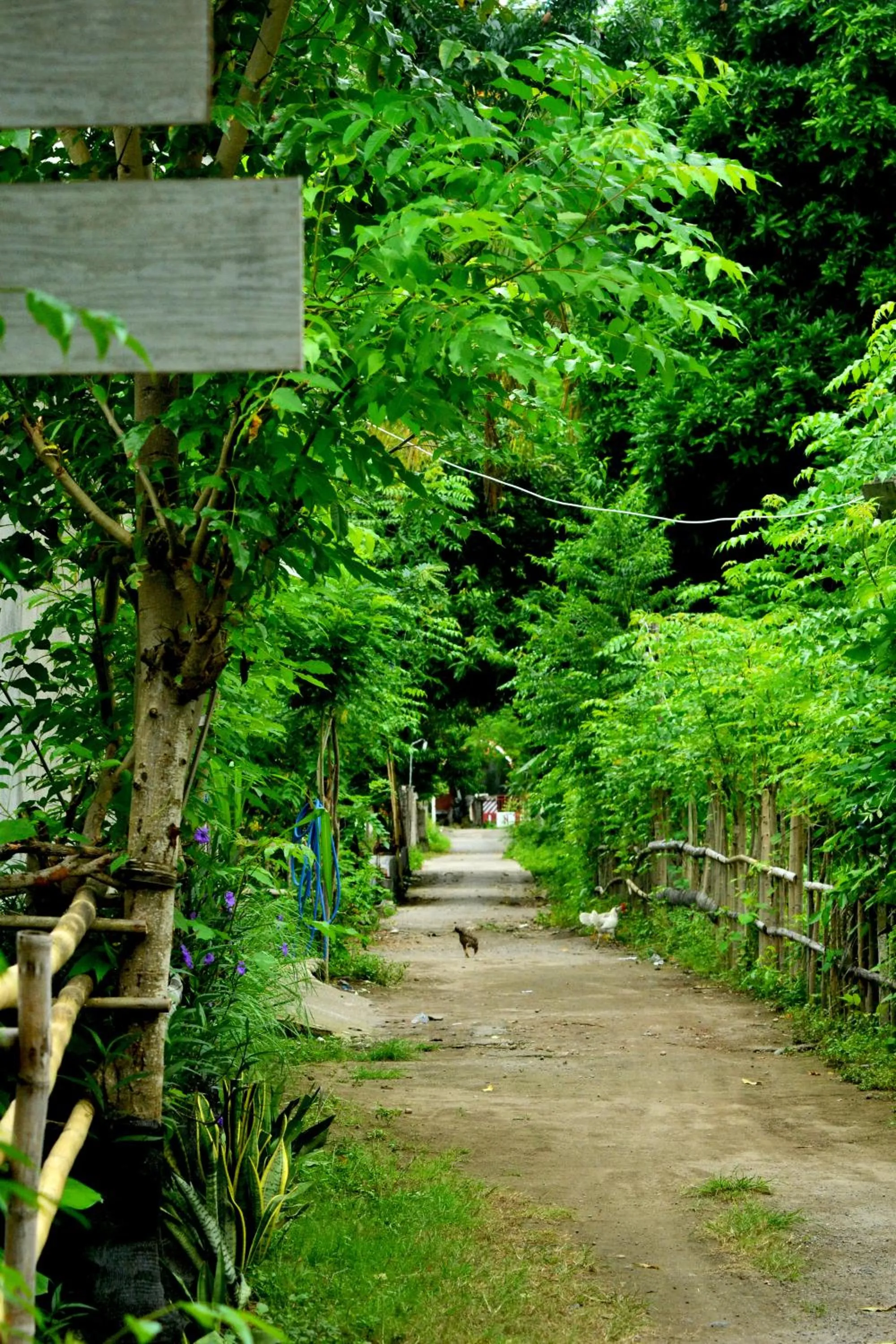Facade/entrance in Sammy Cottage Senggigi