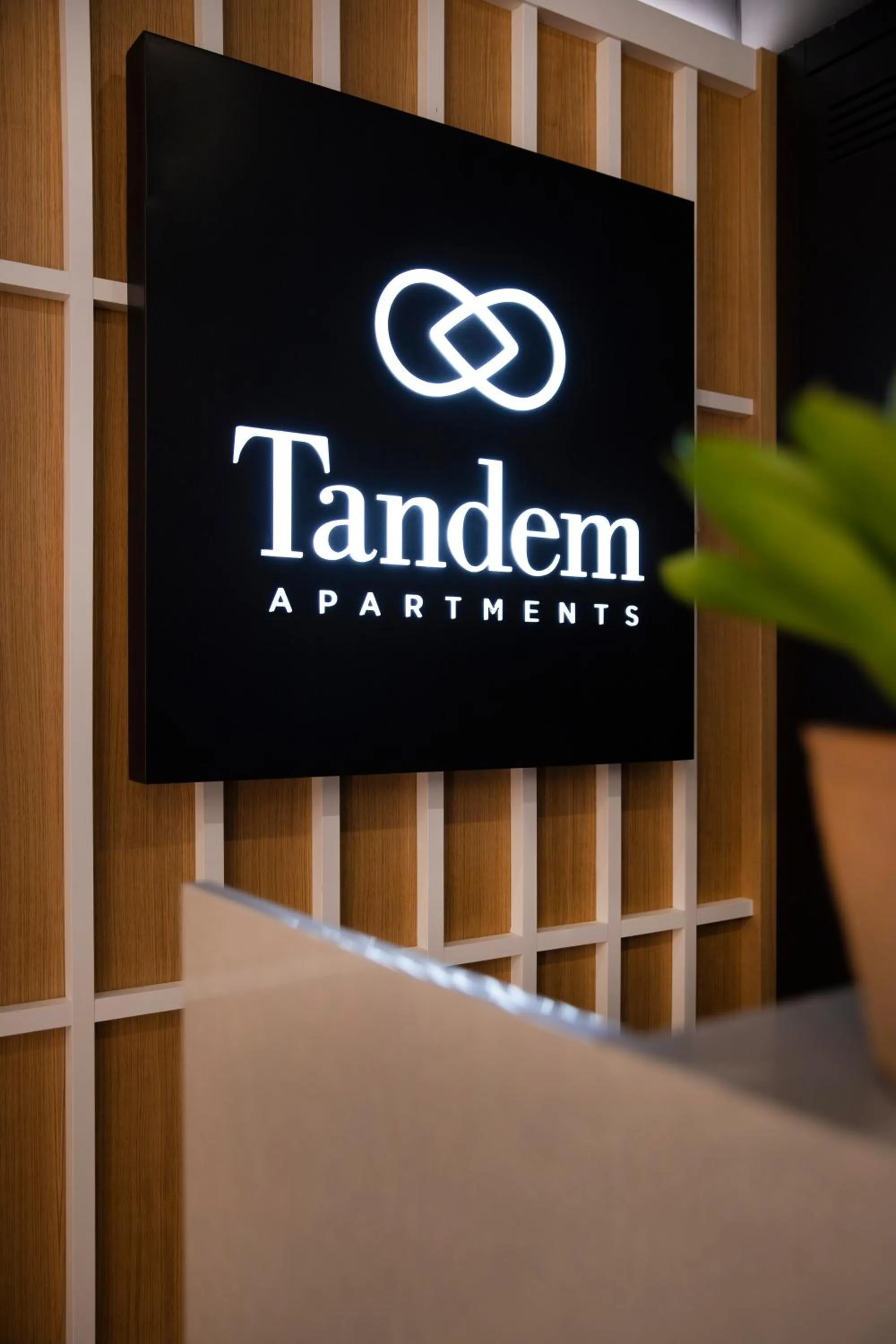 Living room in Tandem Portal De Elche