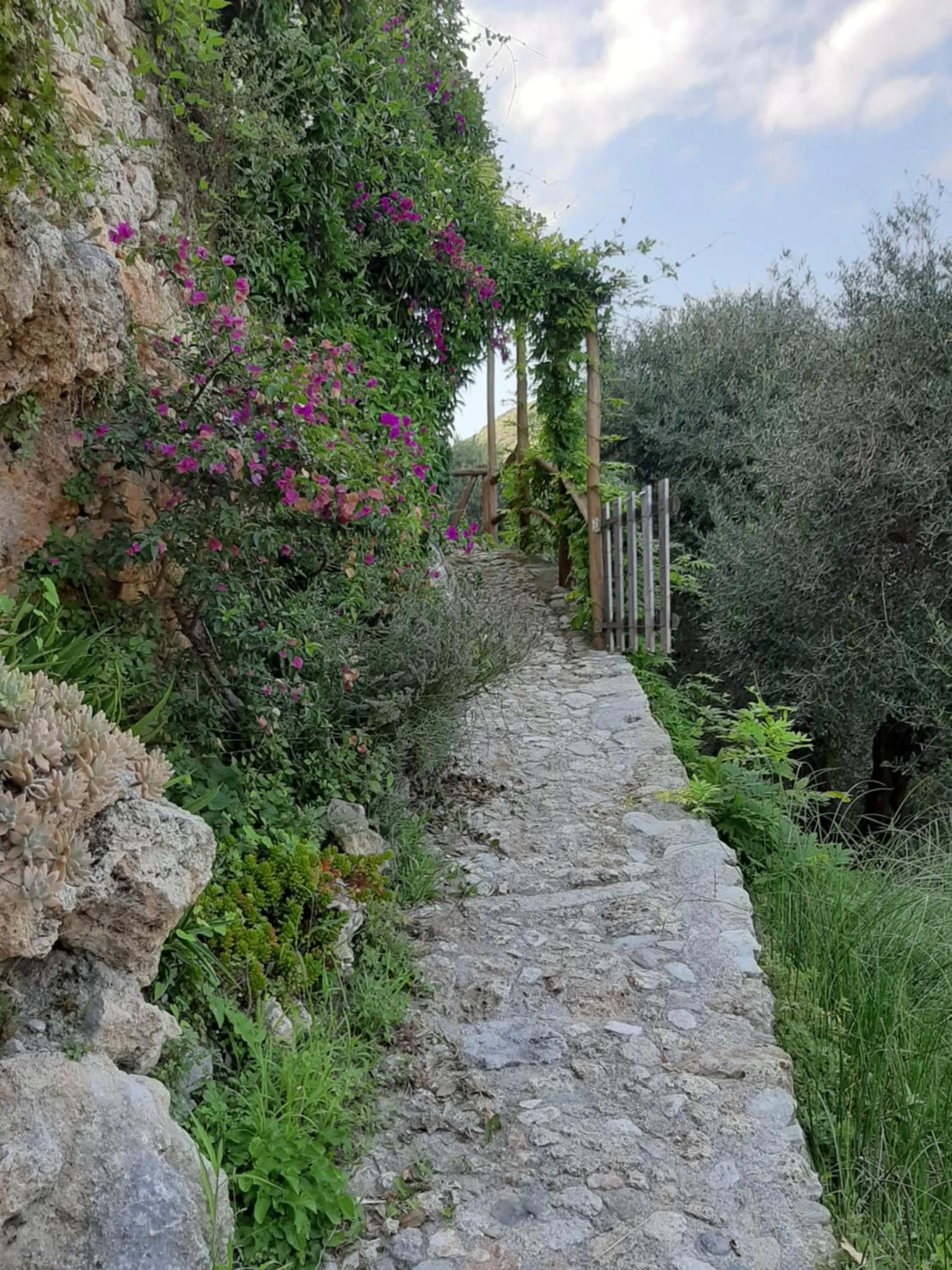 Natural landscape in Guesthouse Contrada Bolla