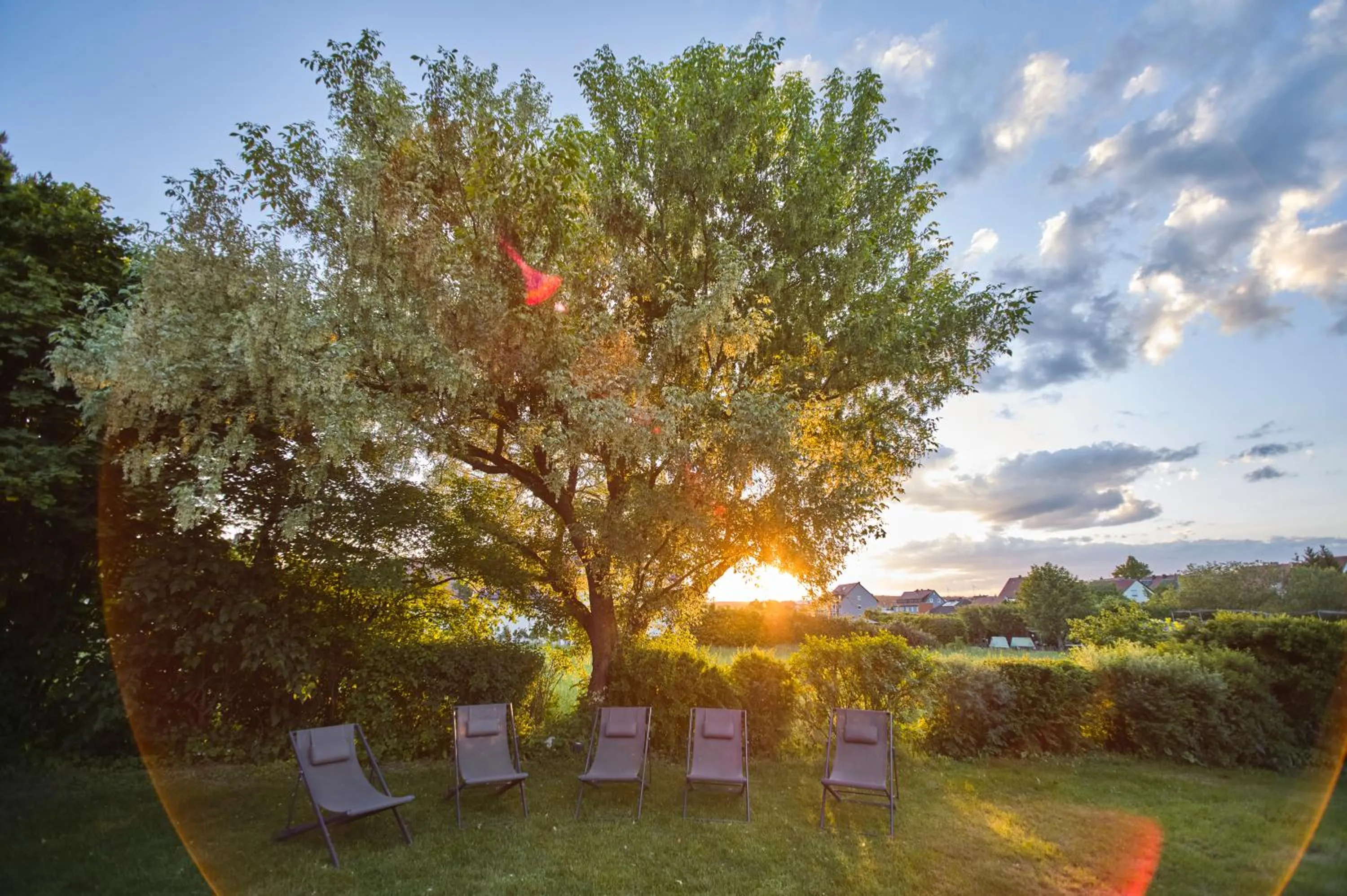 Restaurant/places to eat in Landhotel Seerose