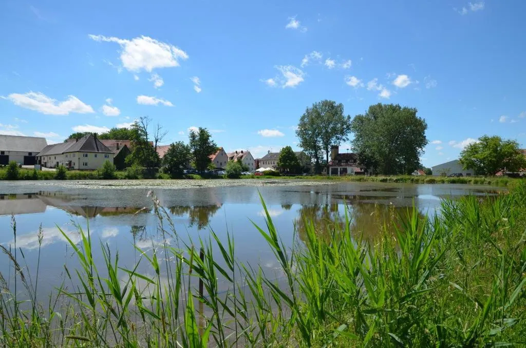 Lake view in Landhotel Seerose