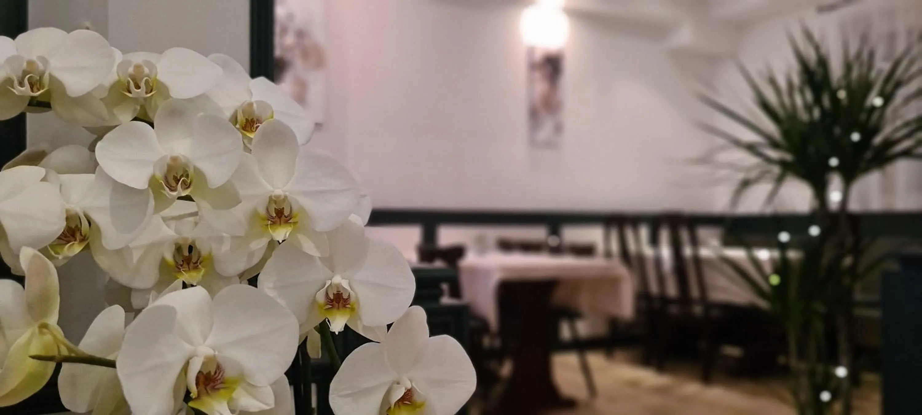 Other, Bed in Hotel Lamm