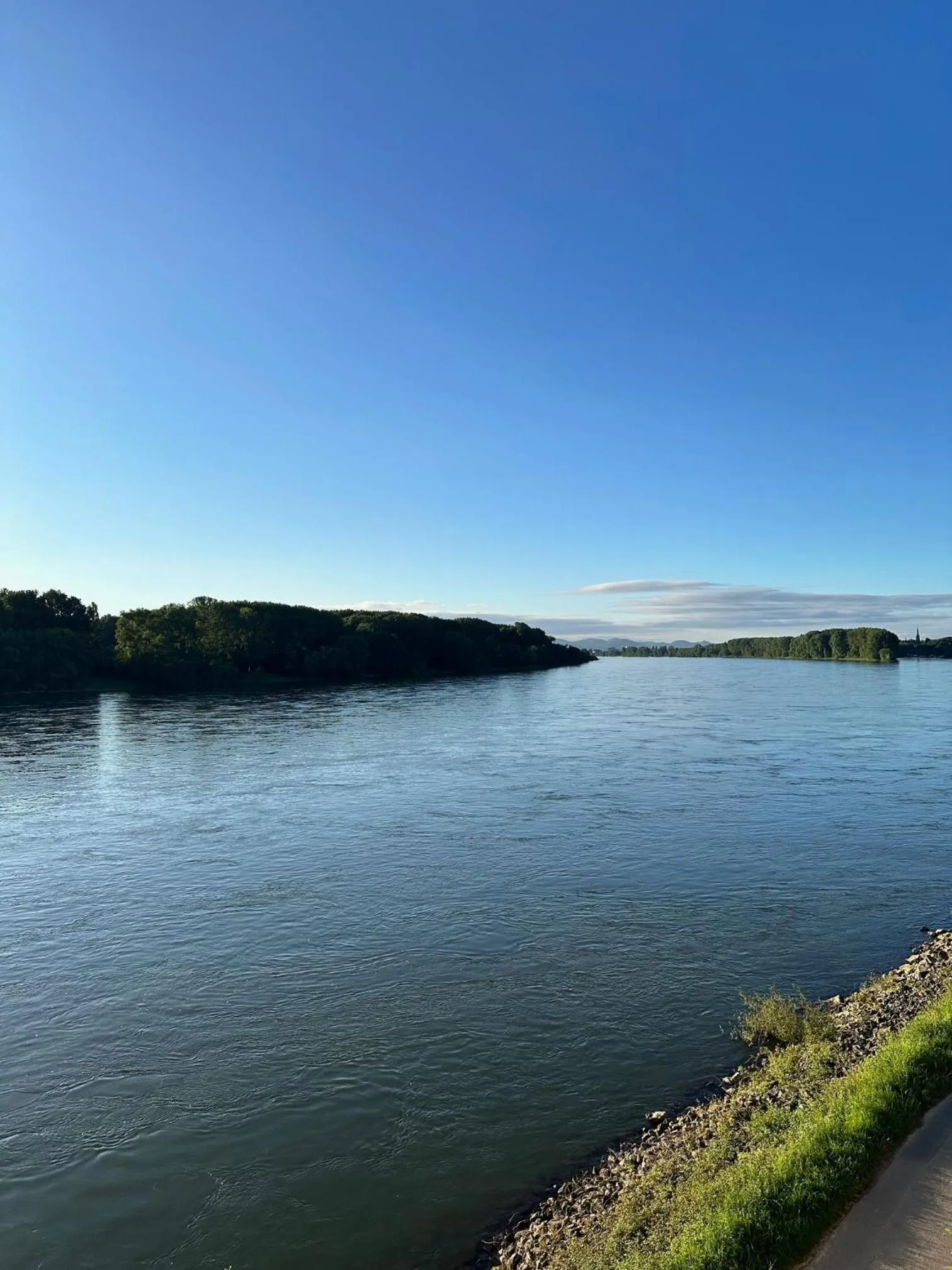 River view in Rheinterrassen Hotel Café Restaurant