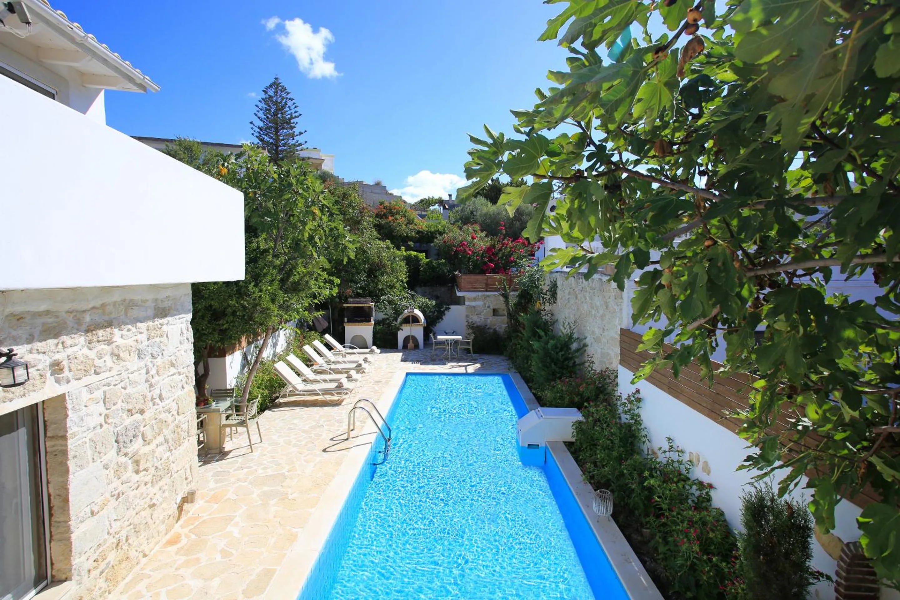 Garden view in Villa Oasis