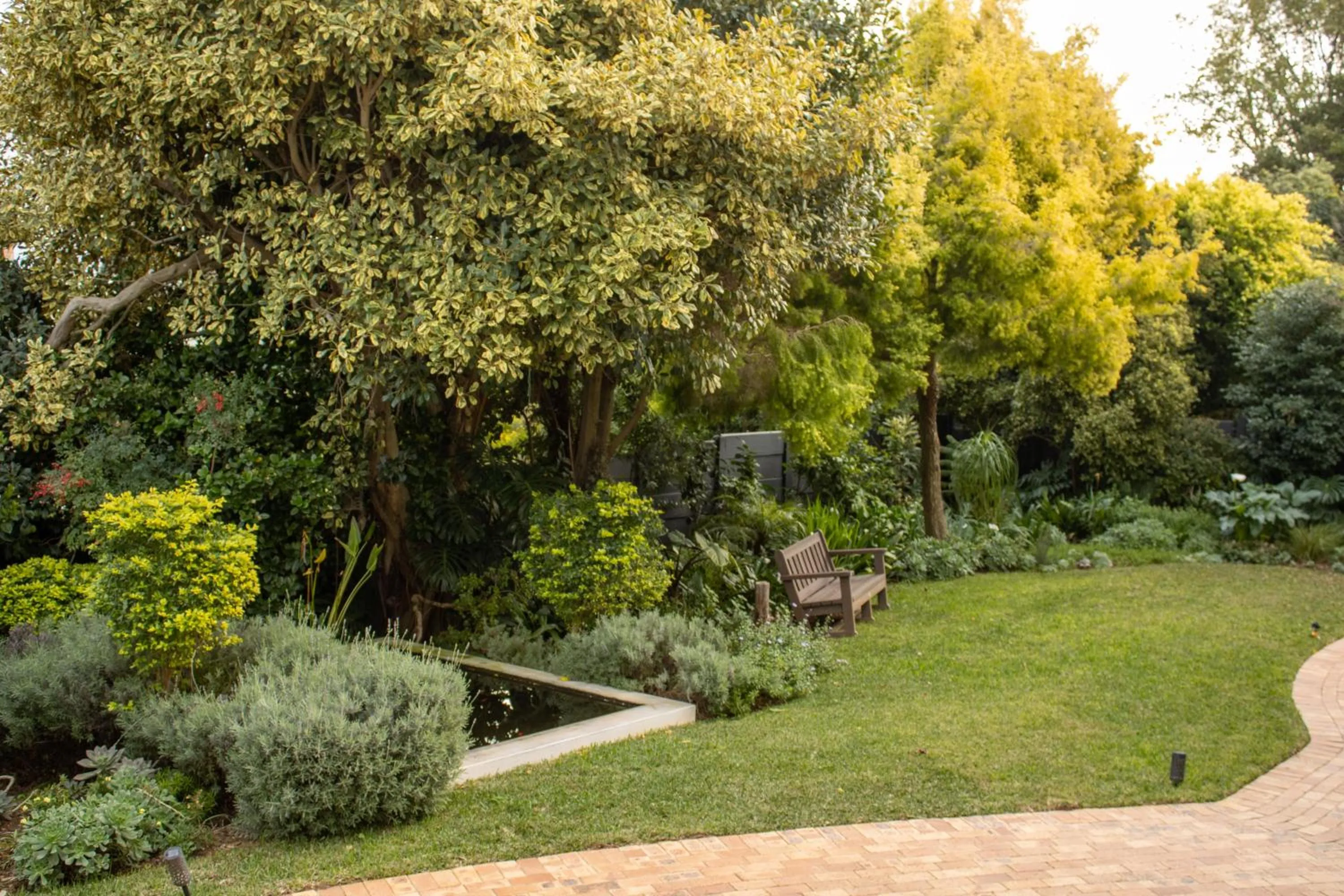 Garden view in 5 Rembrandt Guesthouse