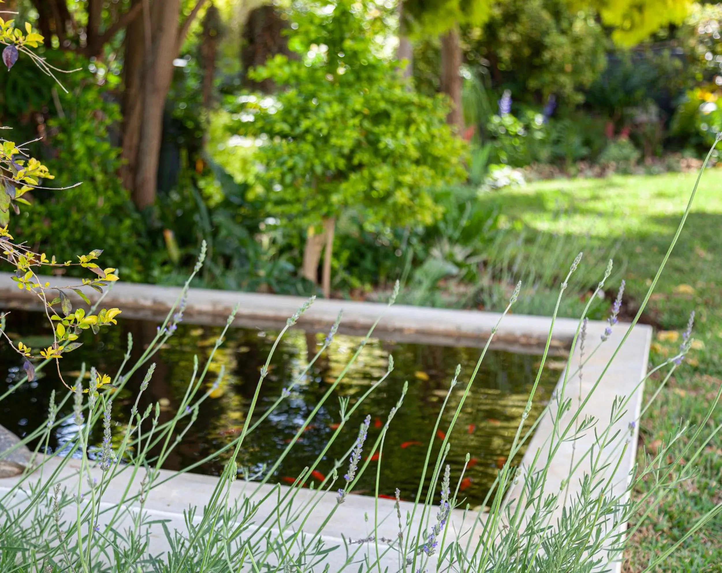 Natural landscape in 5 Rembrandt Guesthouse