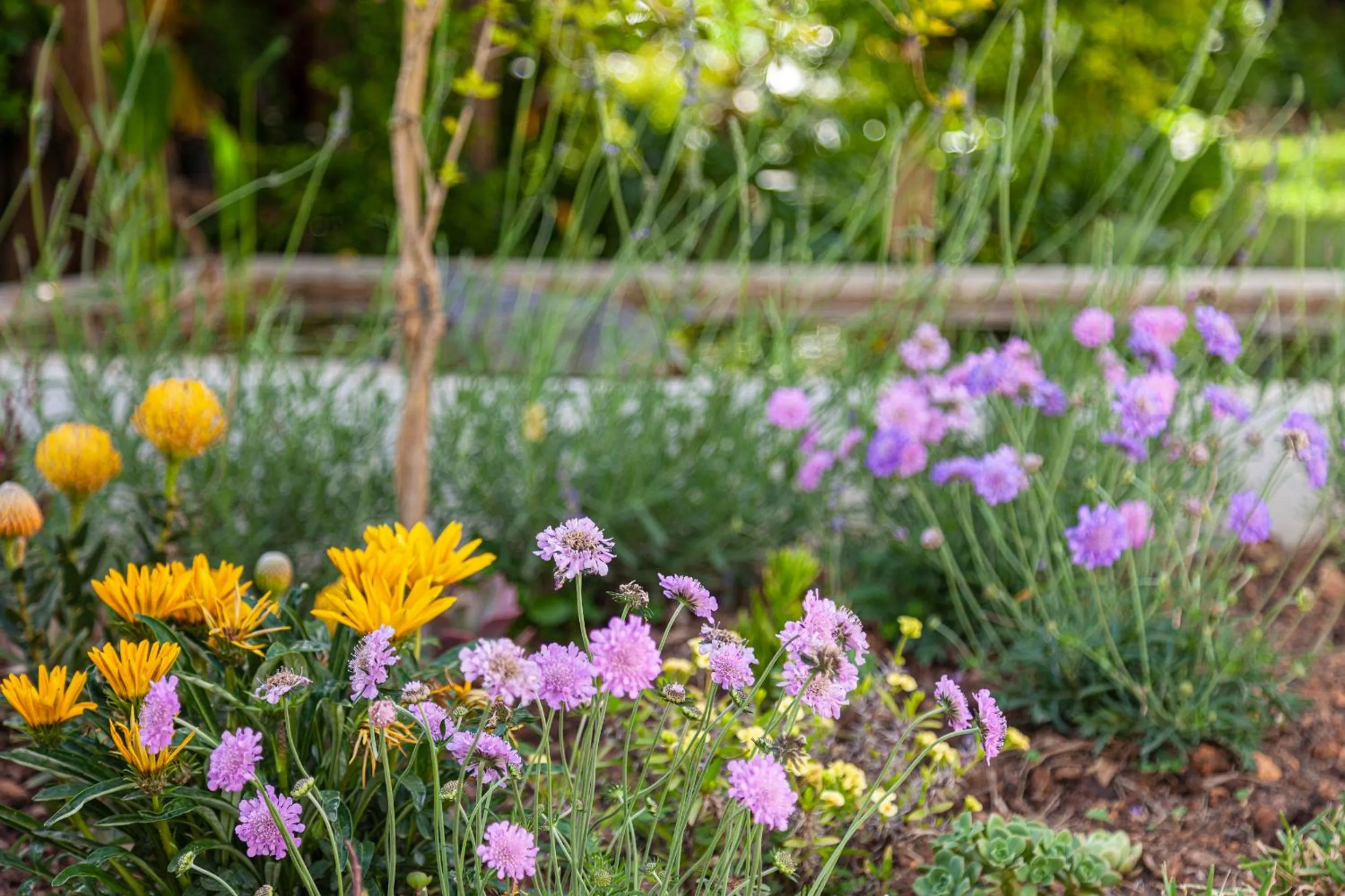 Spring in 5 Rembrandt Guesthouse