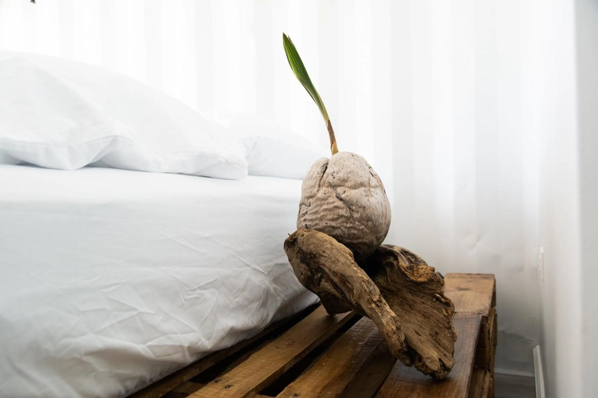 Decorative detail, Bed in Nomada Republic Hotel Punta Chame