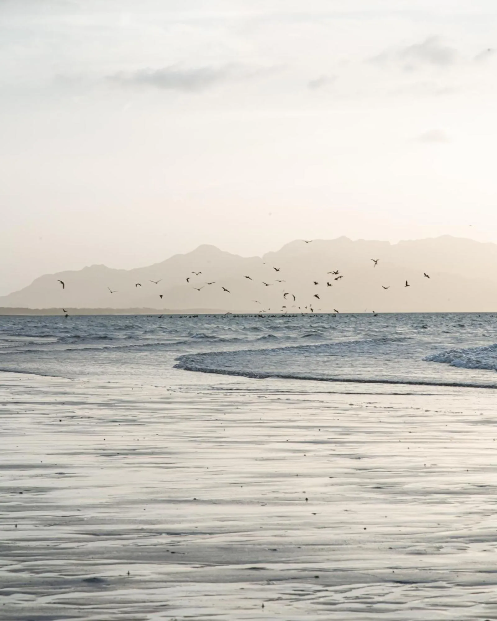 Beach in Nomada Republic Hotel Punta Chame