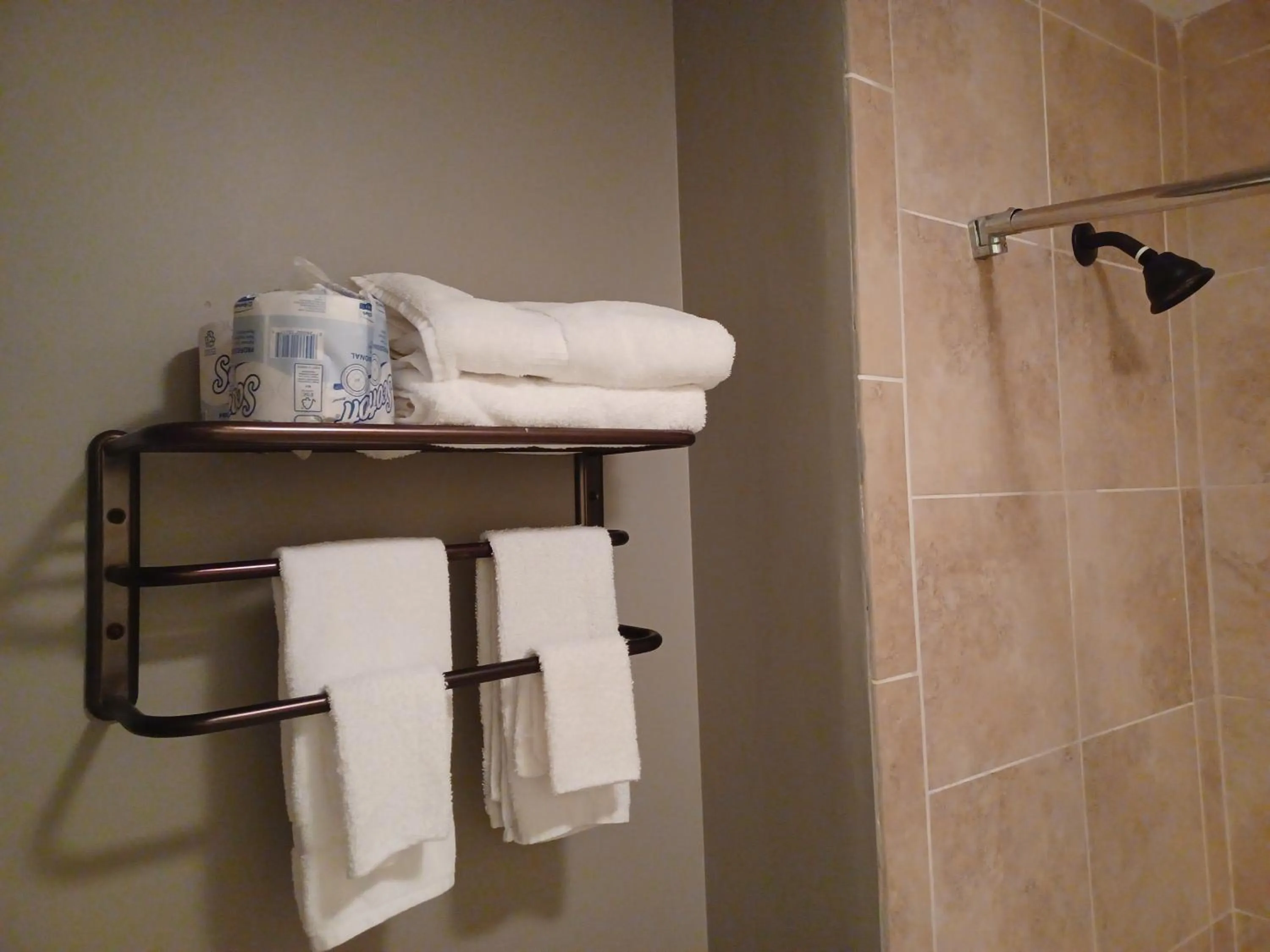 Shower in Natchez Manor Bed & Breakfast