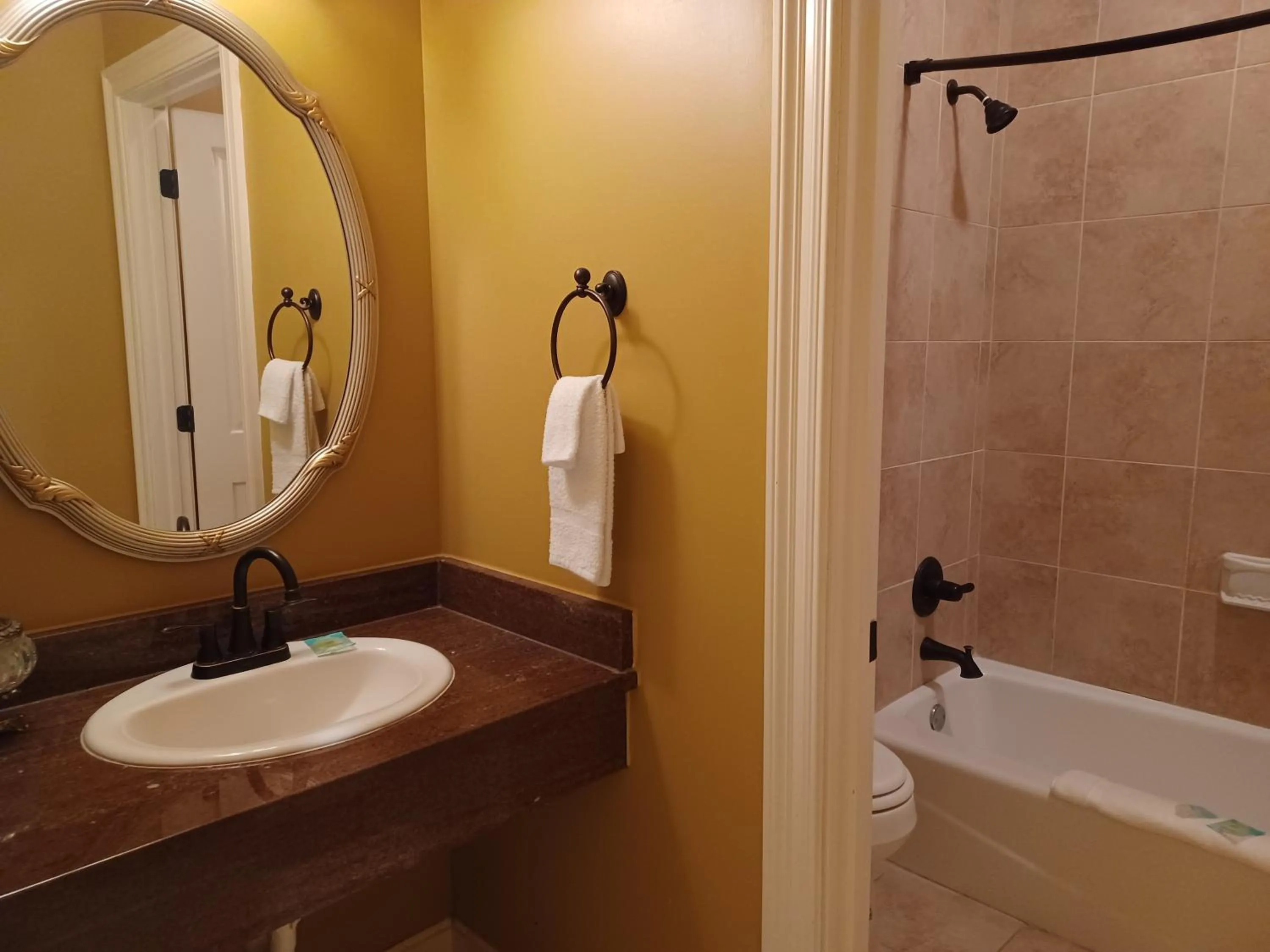 Shower in Natchez Manor Bed & Breakfast