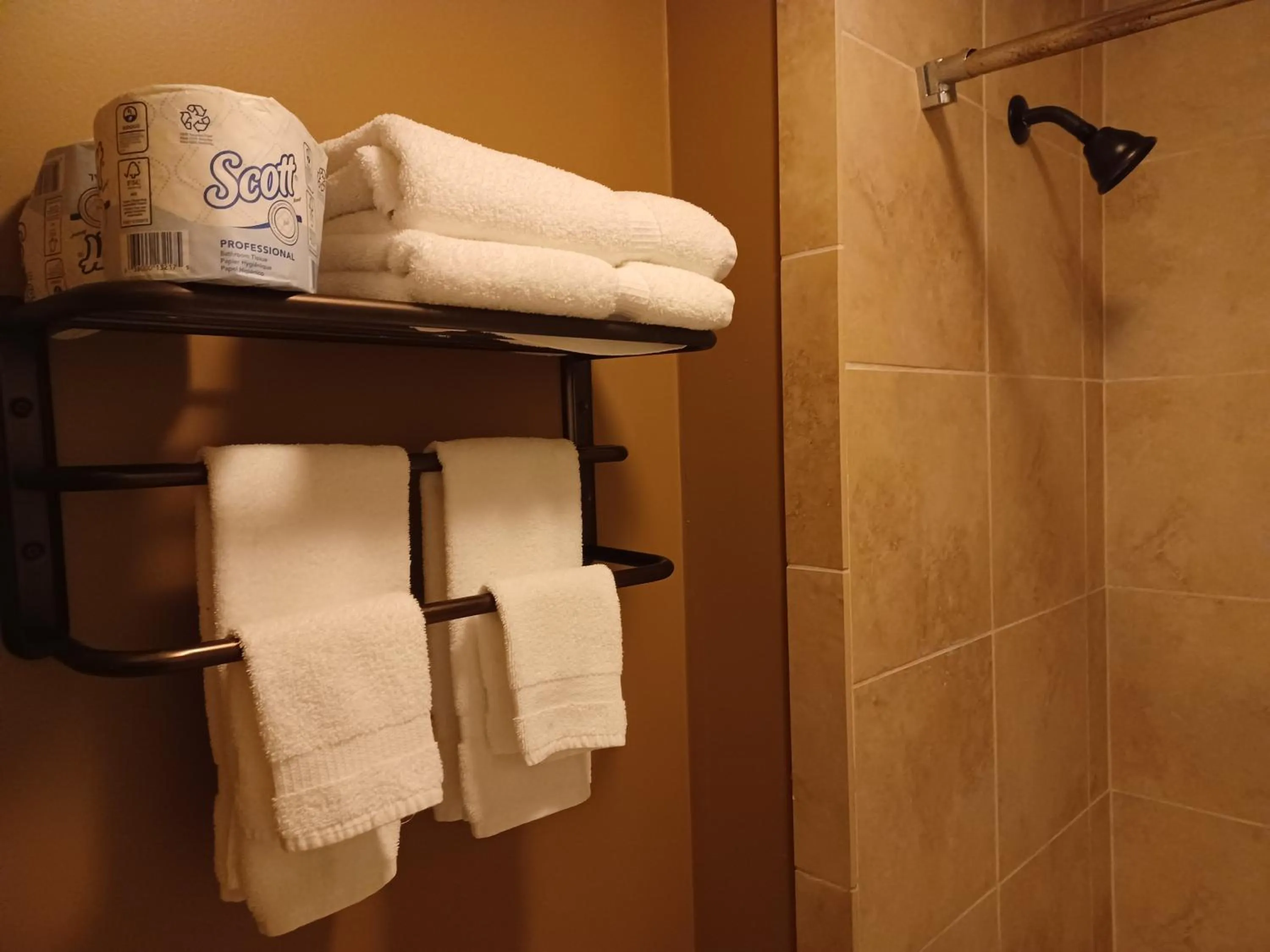 Shower in Natchez Manor Bed & Breakfast