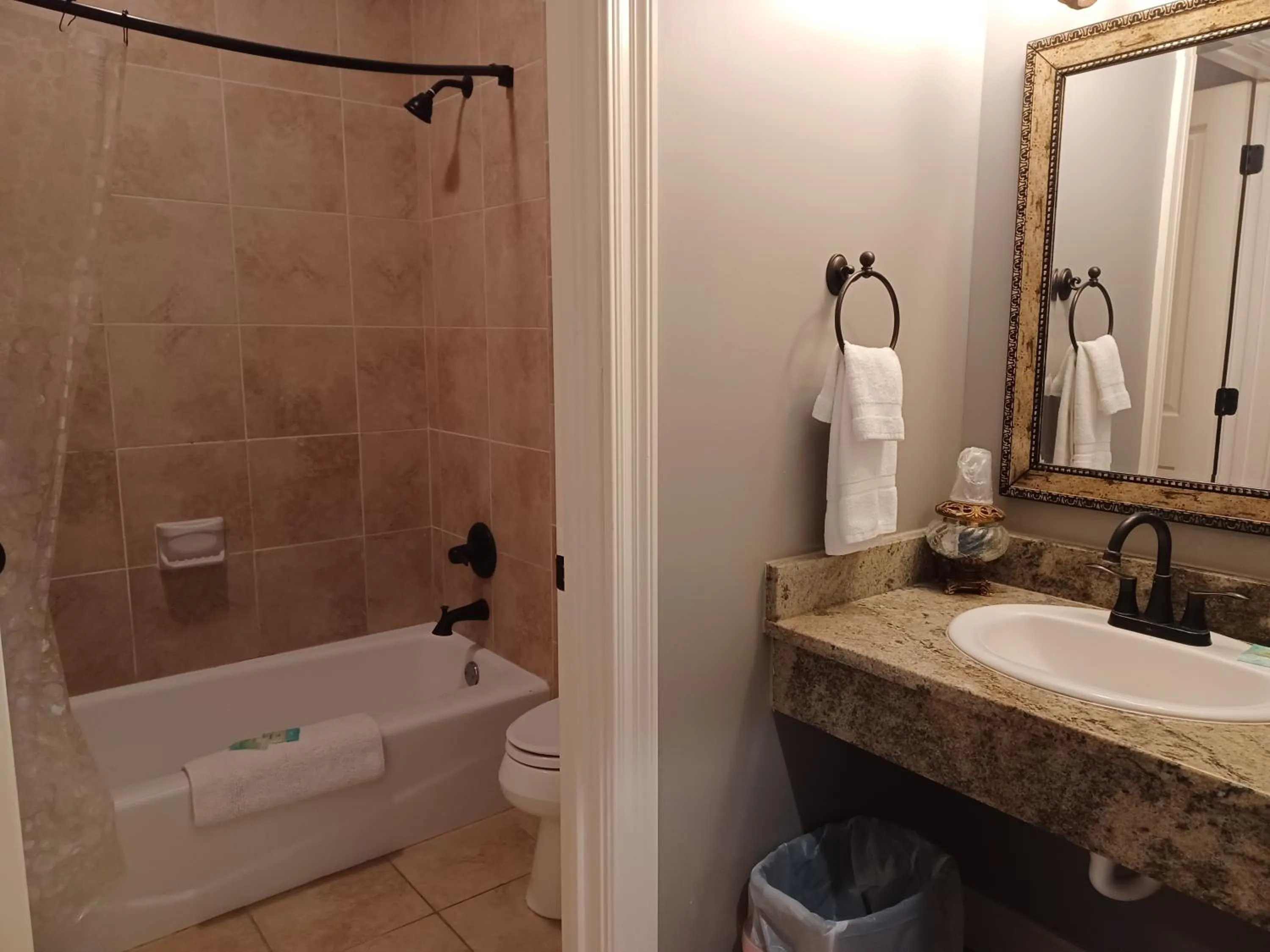 Shower in Natchez Manor Bed & Breakfast