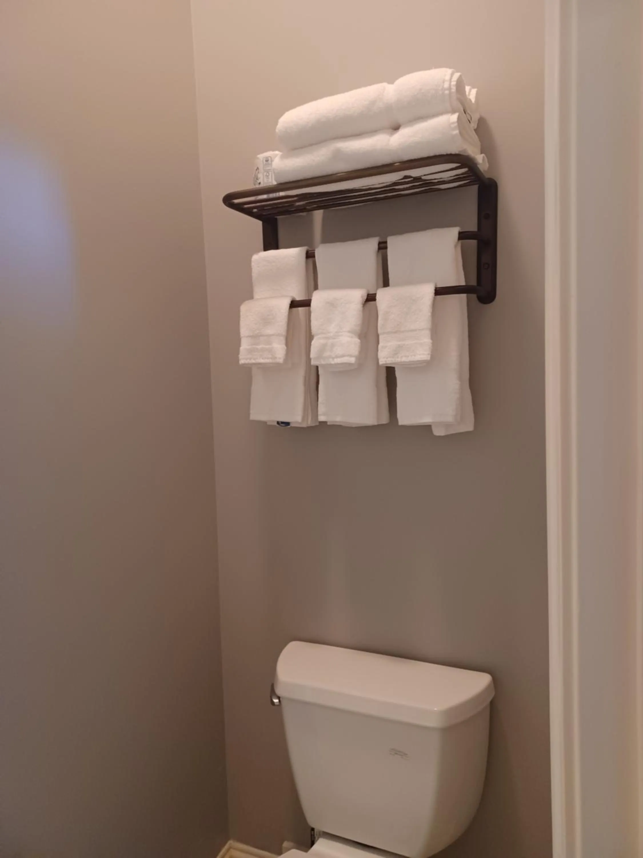 Toilet in Natchez Manor Bed & Breakfast