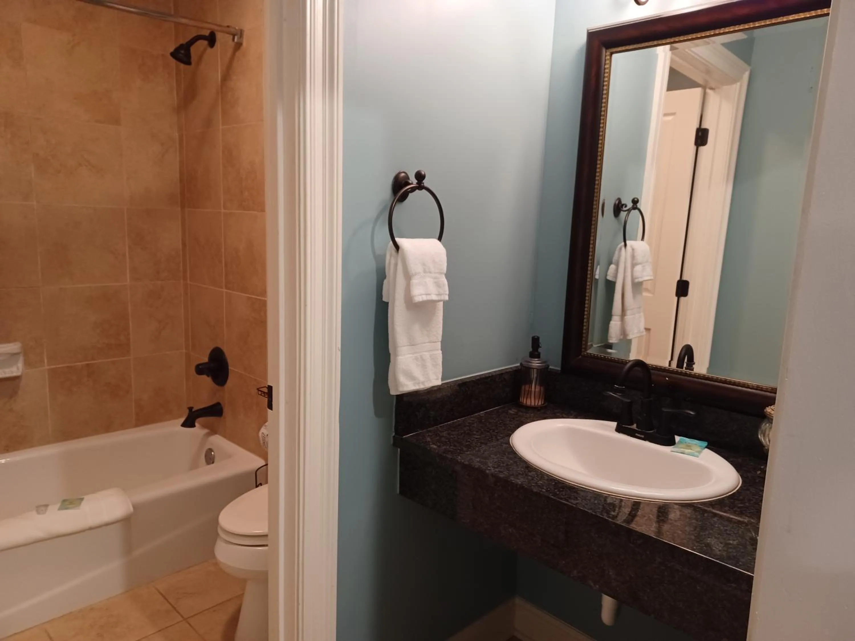 Bathroom in Natchez Manor Bed & Breakfast