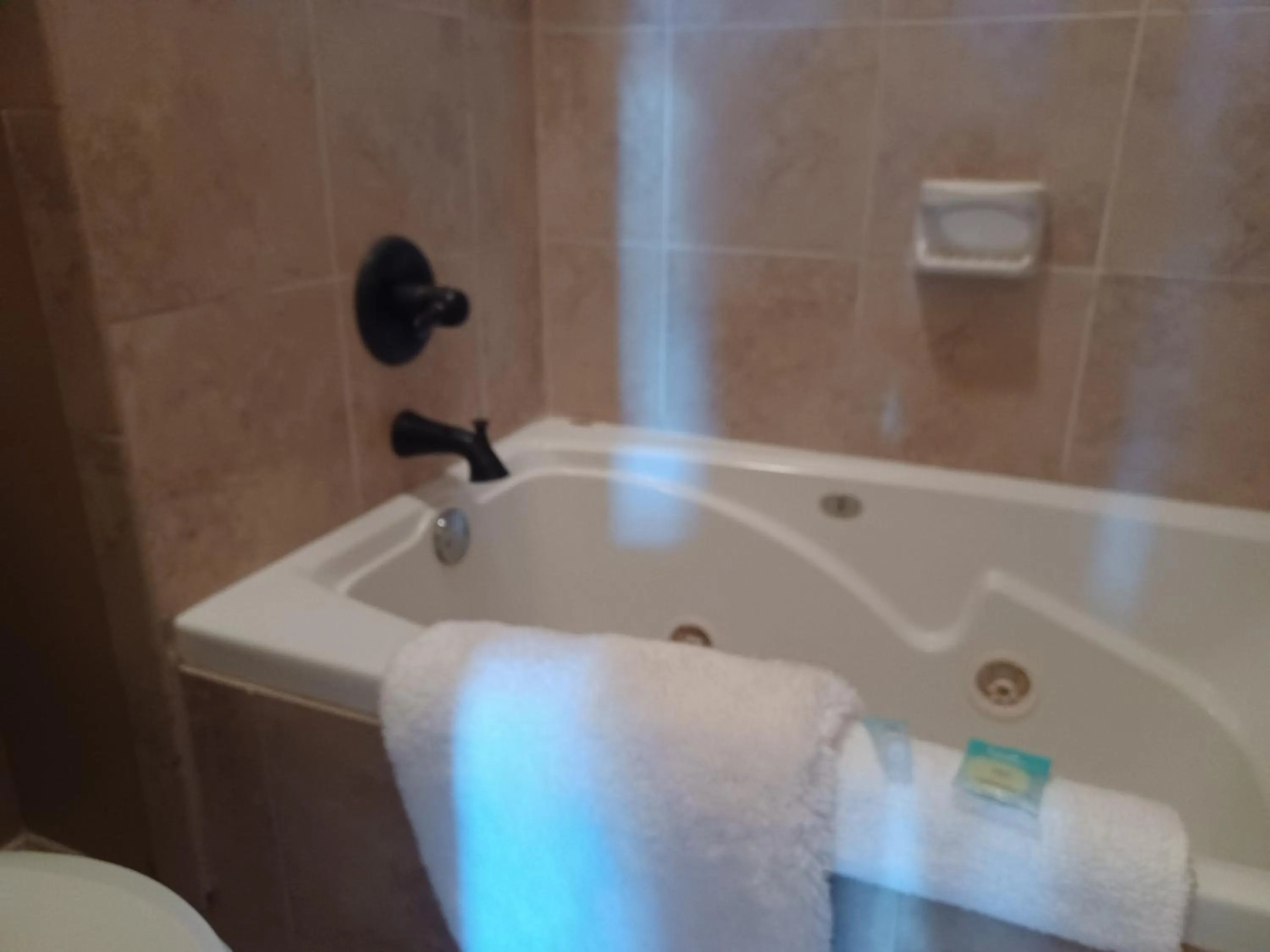 Bath in Natchez Manor Bed & Breakfast