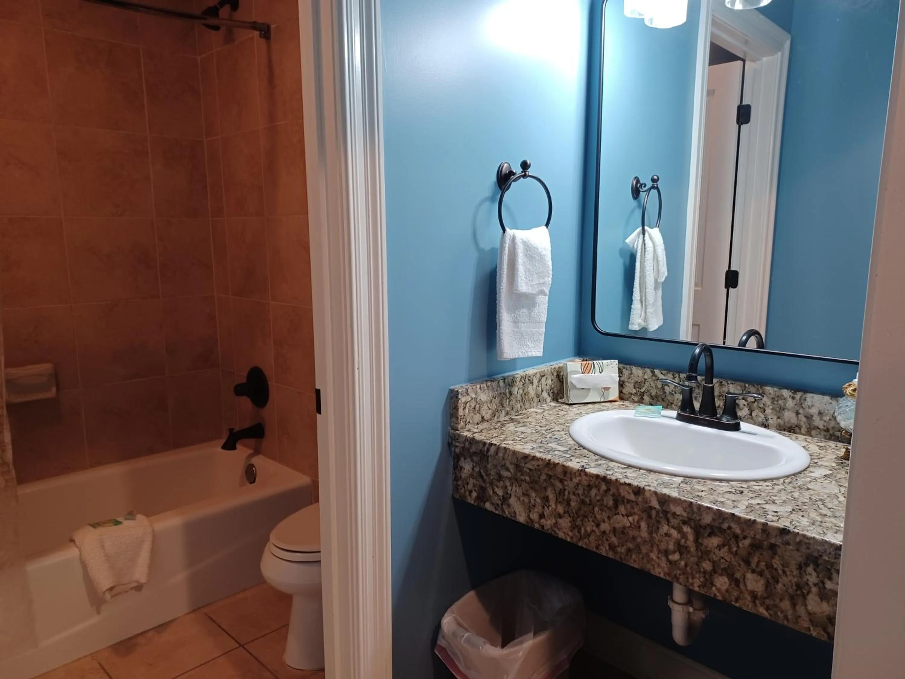 Shower in Natchez Manor Bed & Breakfast