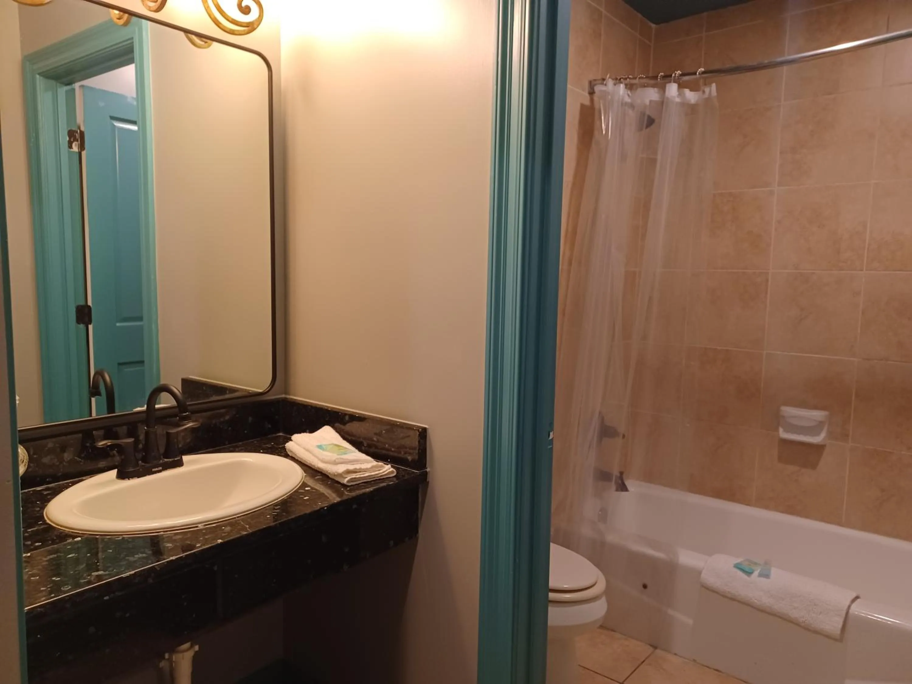 Shower in Natchez Manor Bed & Breakfast