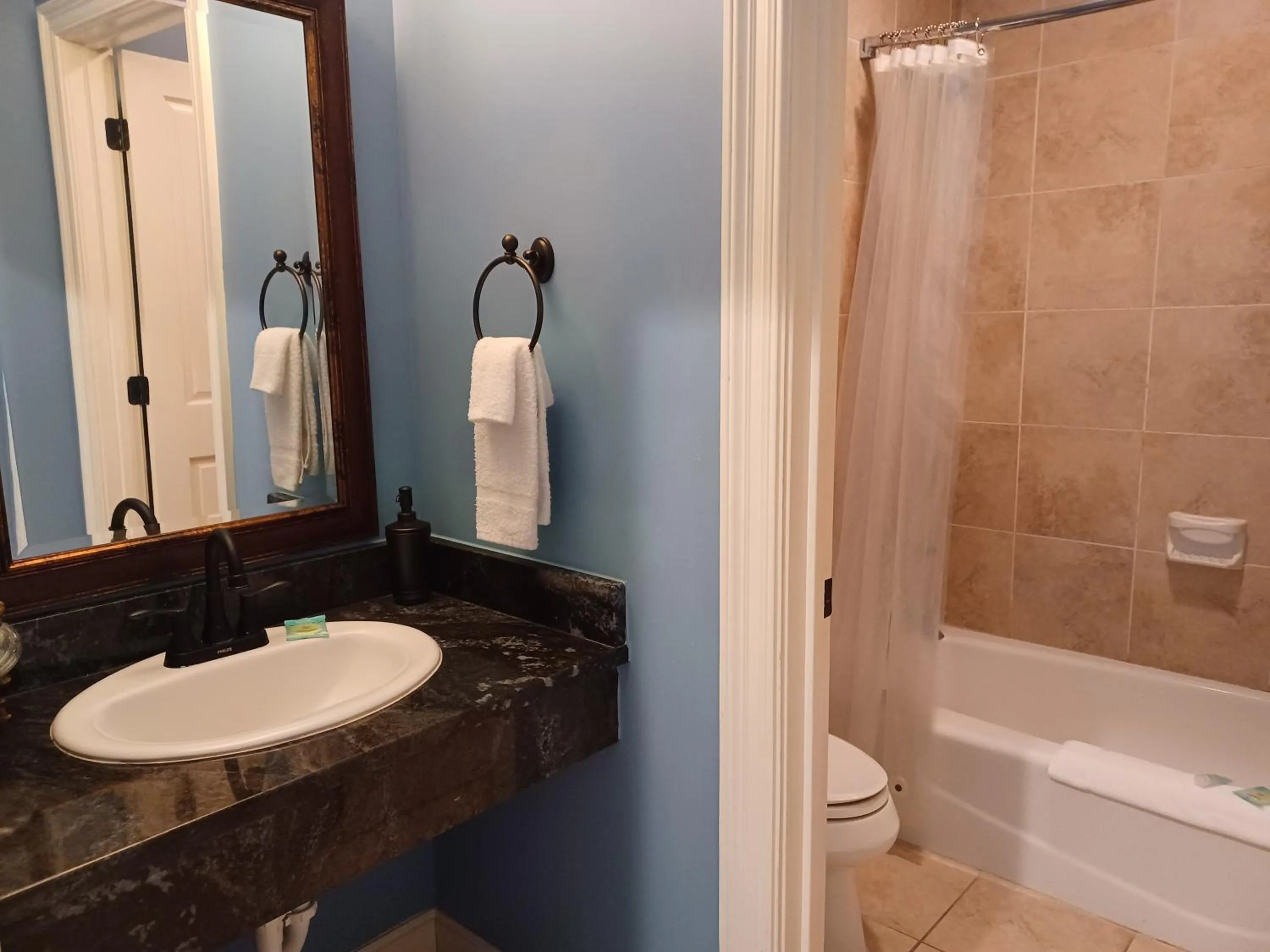 Shower in Natchez Manor Bed & Breakfast